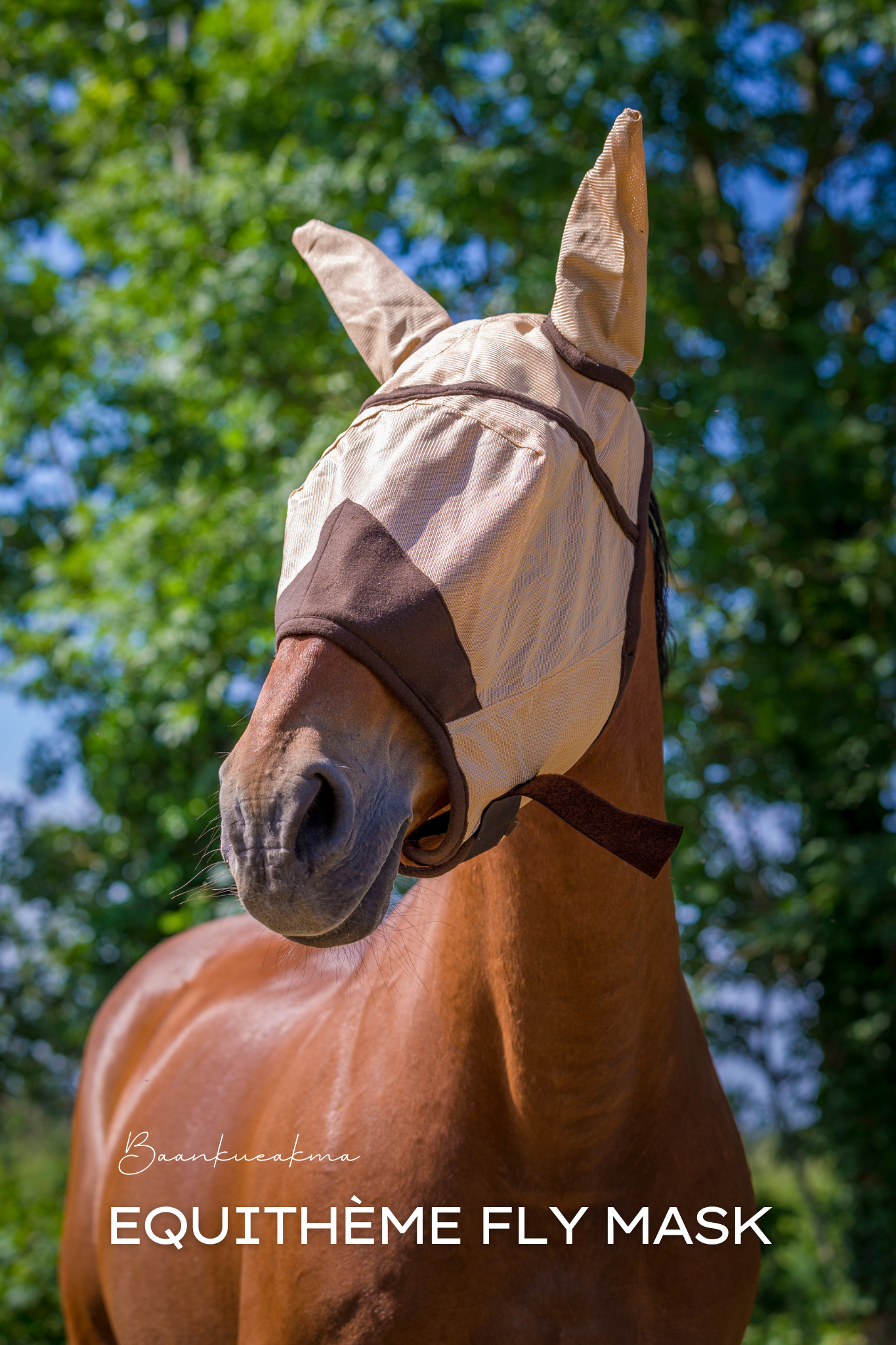 หน้ากากกันแมลงแบบมีหู EQUITHÈME FLY PROTECTOR FLY MASK