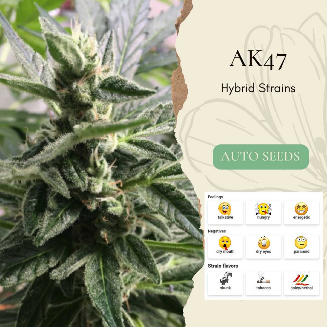 Ak47