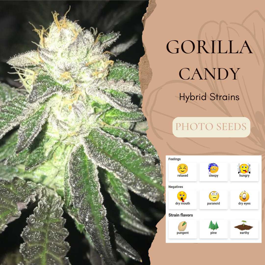 Gorilla Candy