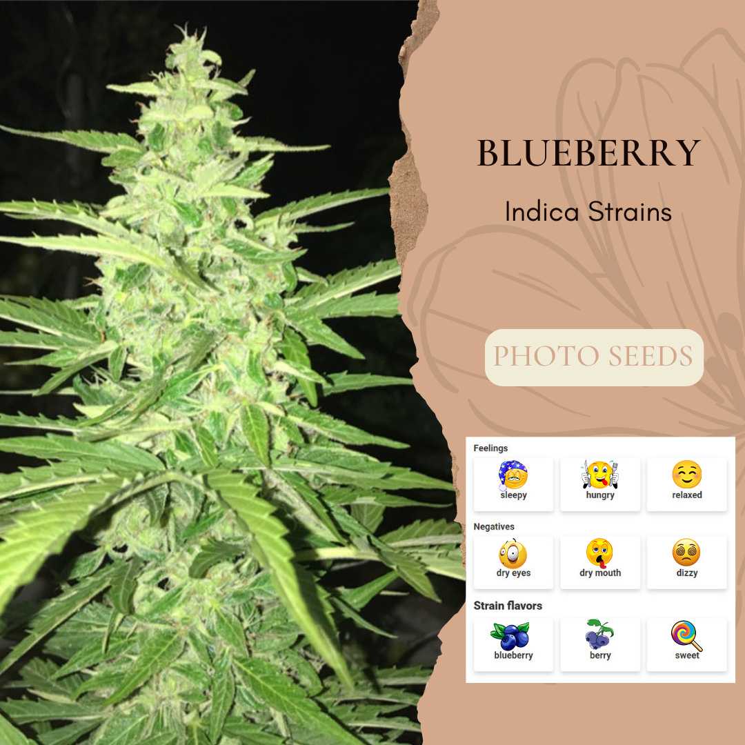 Blueberry