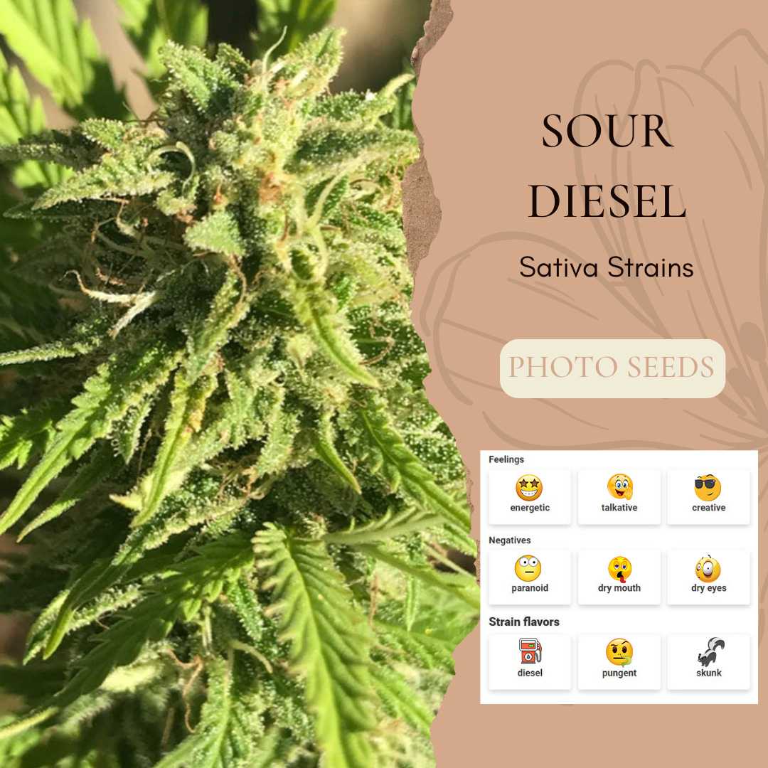 SourDiesel