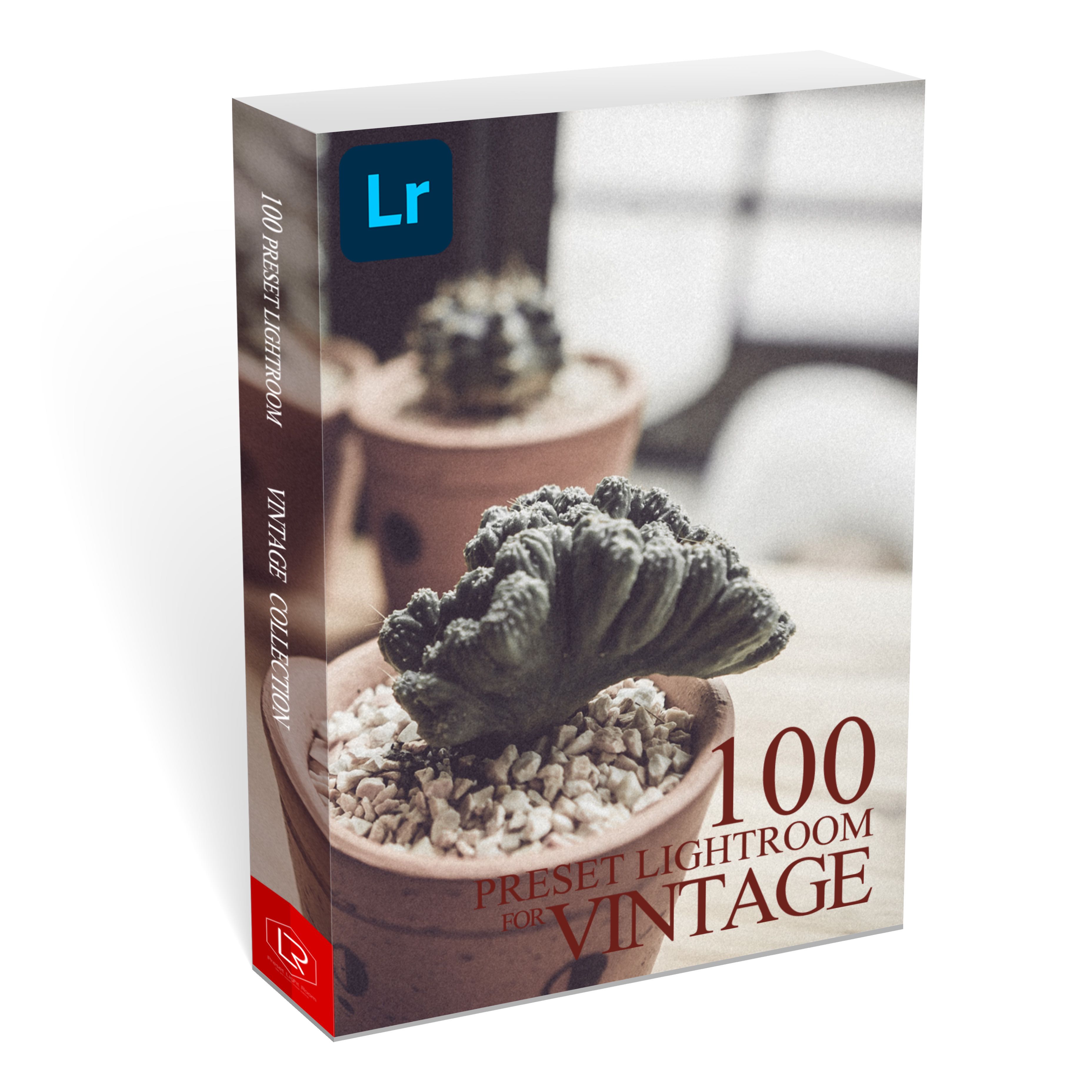 100PERMIUM PRESETS VINTAGE