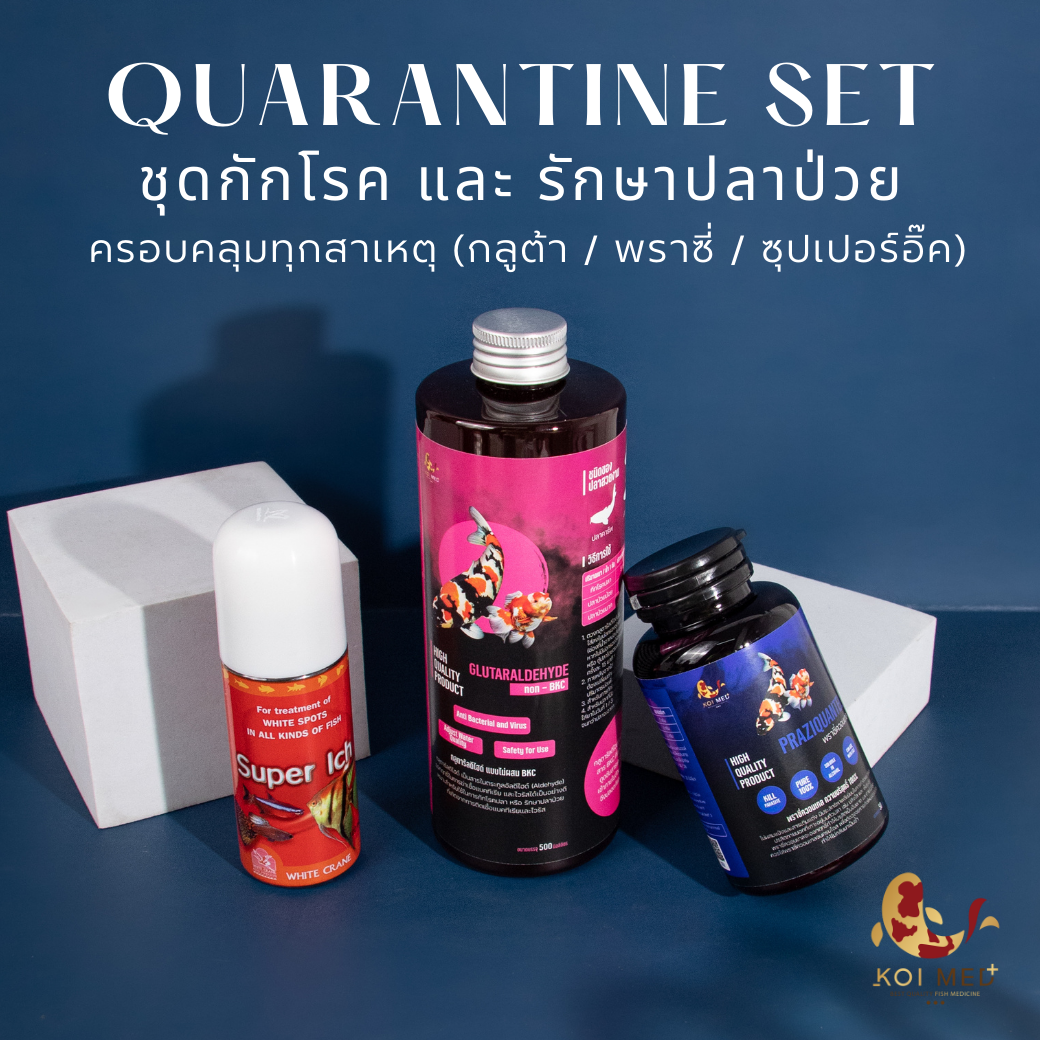 ชุดกักโรคและรักษาปลาป่วย (พราซี่ , กลูต้า , ซุปเปอร์อิ๊ค) ครอบคลุมทุกสาเหตุ