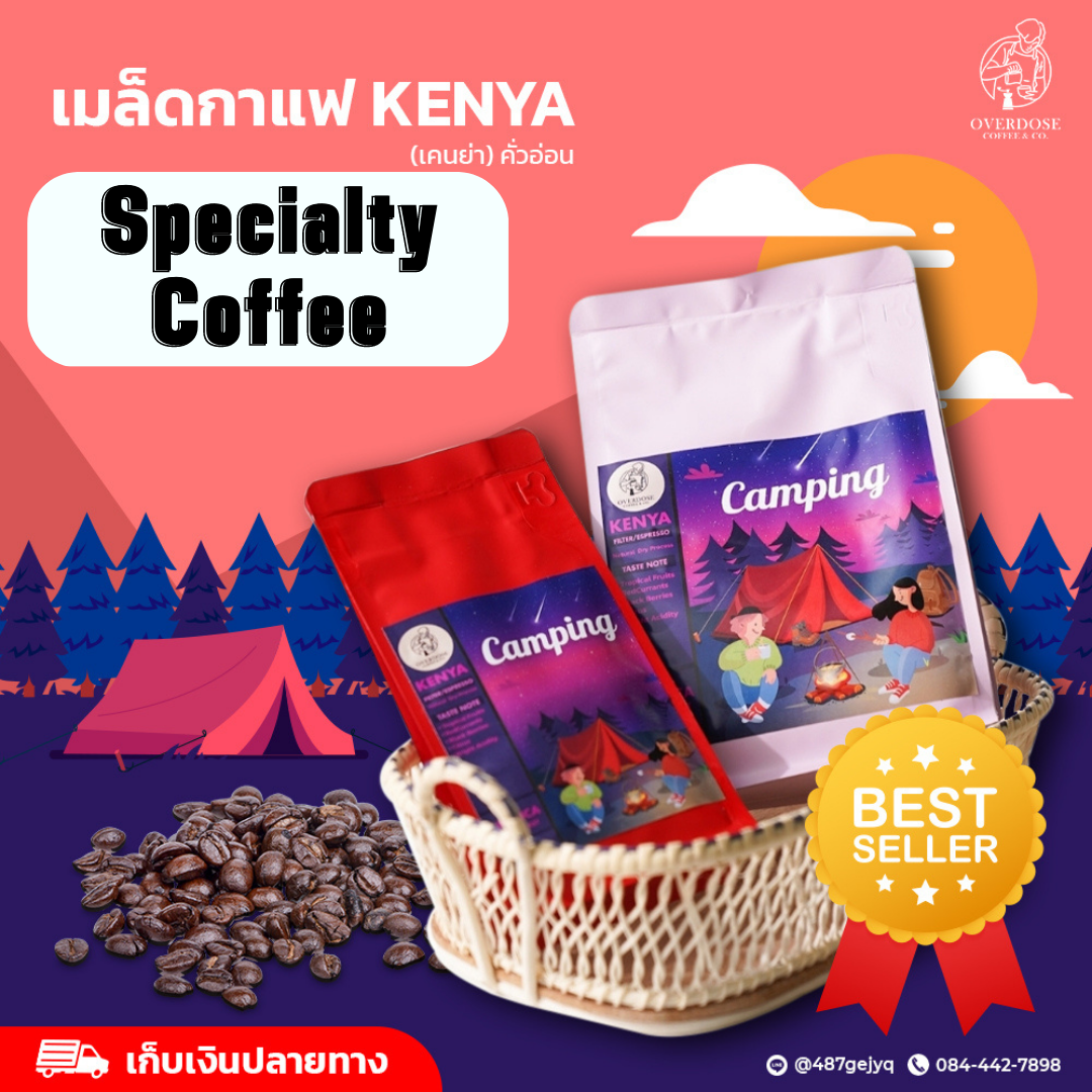 KENYA เมล็ดกาแฟเคนย่า คั่วอ่อน - Specialty Coffee