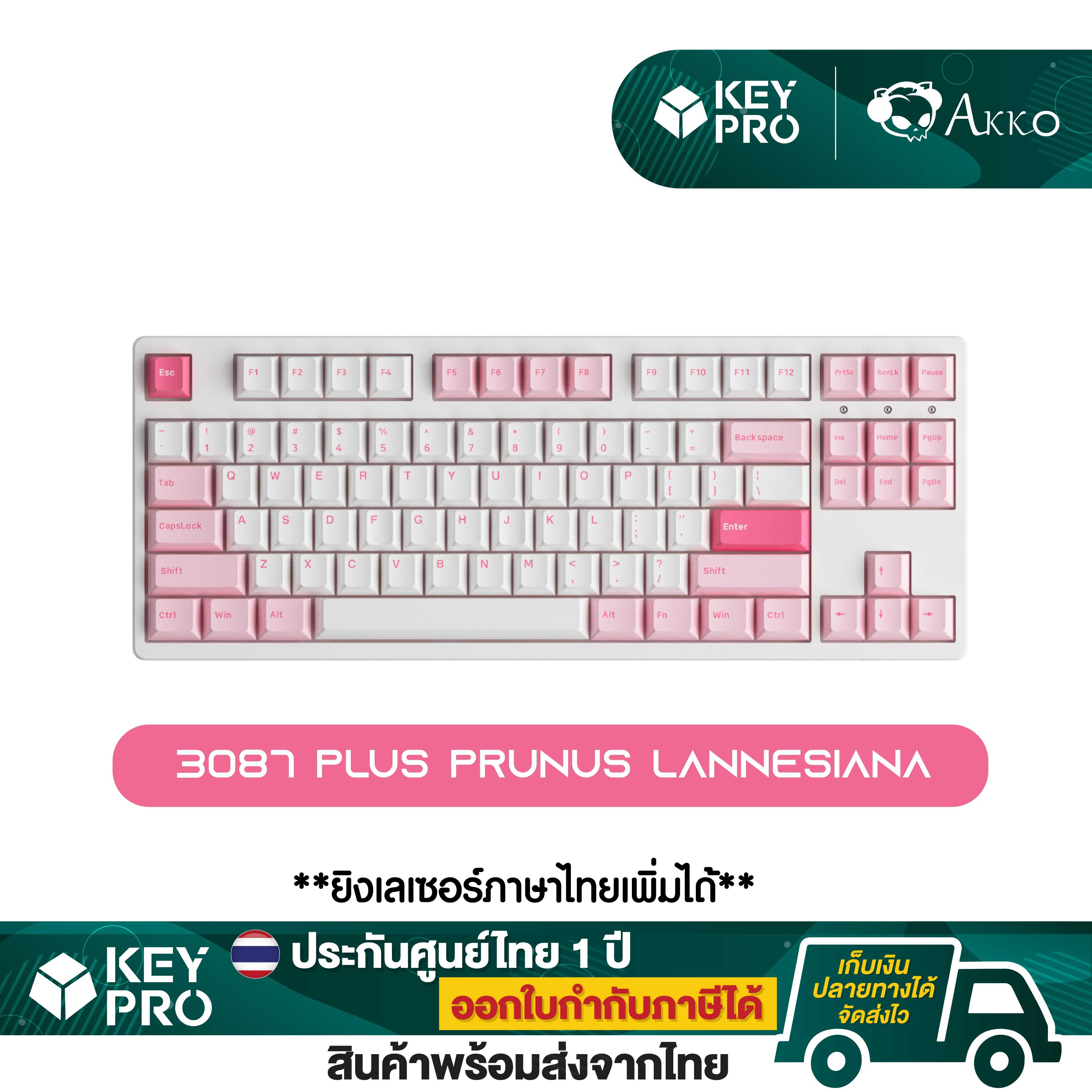 คีย์บอร์ด Akko 3087 Plus Prunus Lannesiana TKL 87 ปุ่ม เลเซอร์คีย์ไทย Mechanical Keyboard