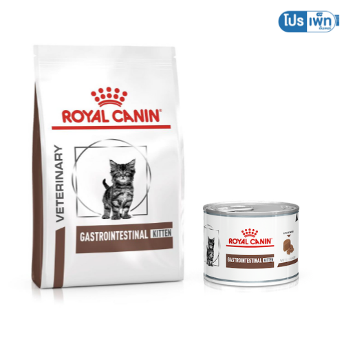 Royal canin Gastro Intestinal Kitten ลูกแมว (สั่งระบบ Petpaw ส่งฟรี 3-5 วัน) ทักแชทเพื่อลดค่าส่ง