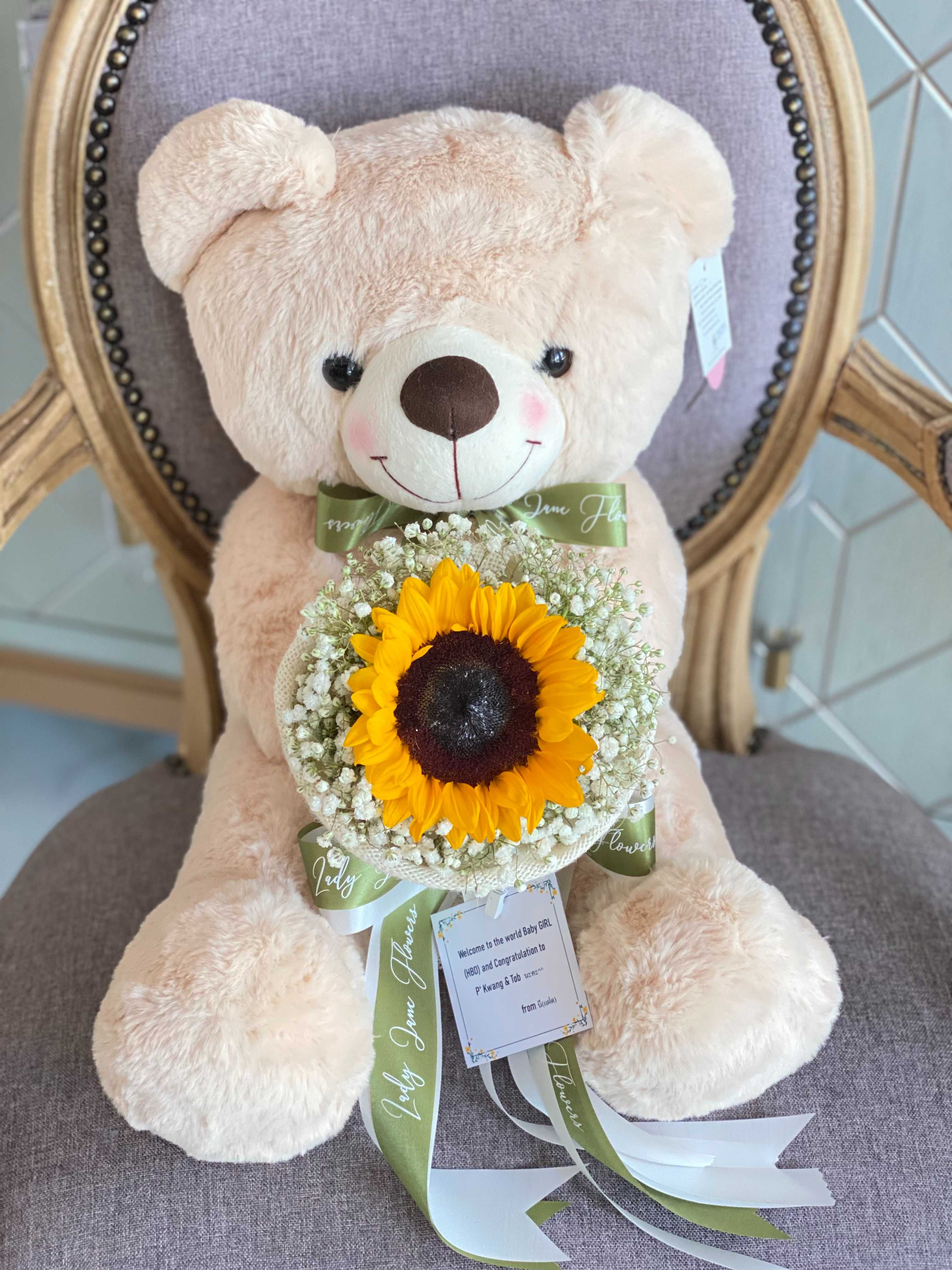 teddy 50 cm