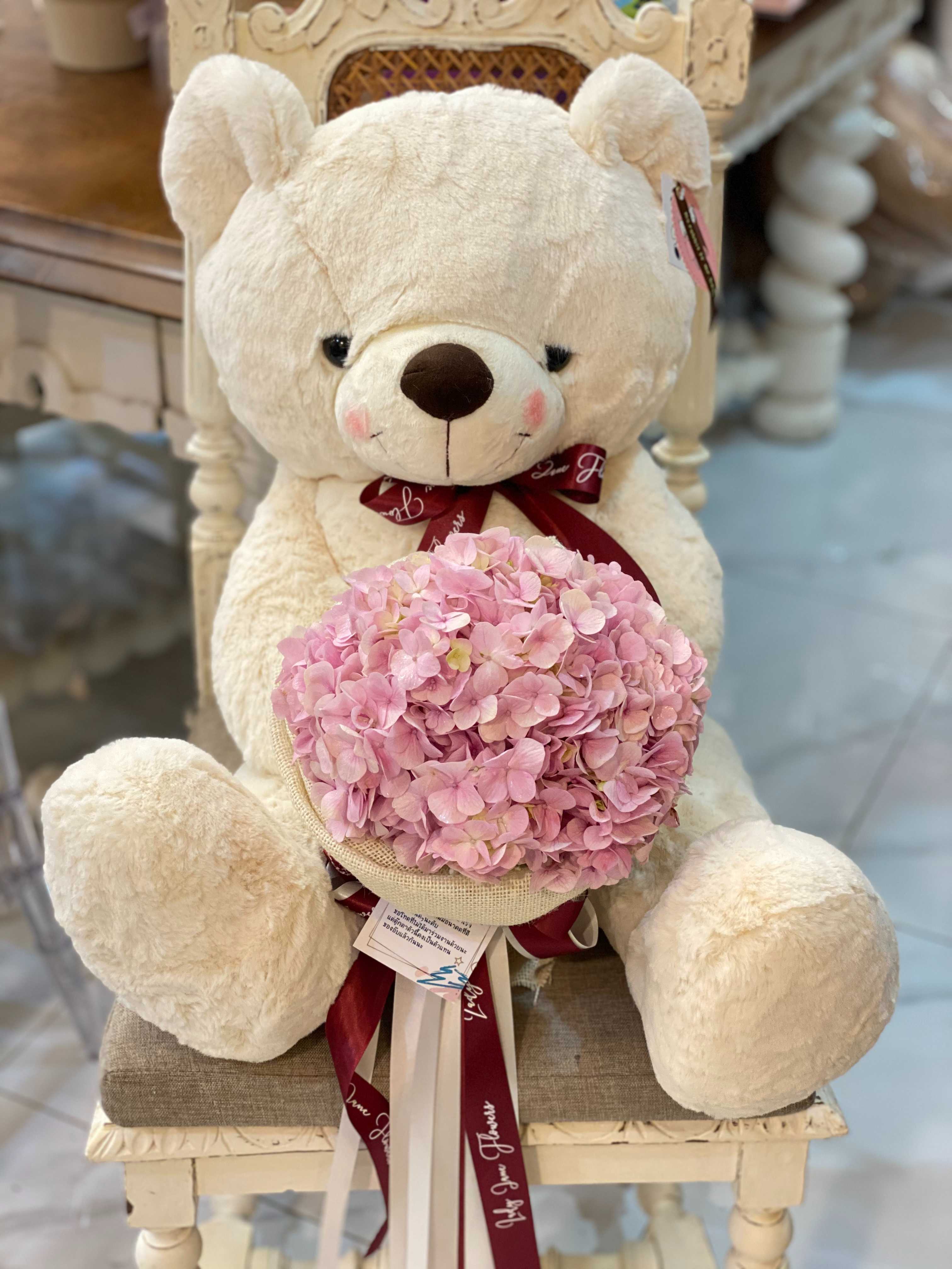 teddy 70 cm