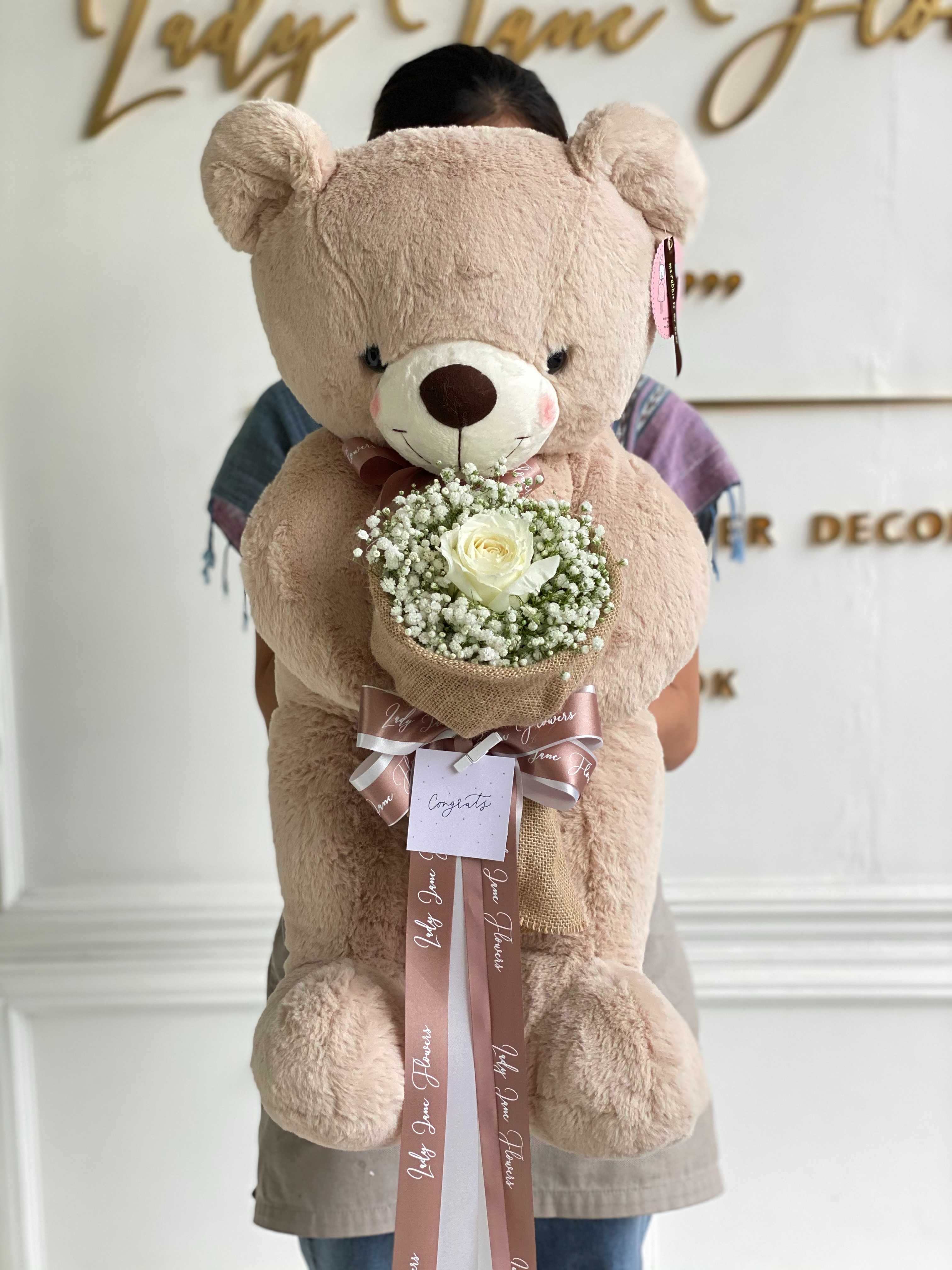 teddy 70