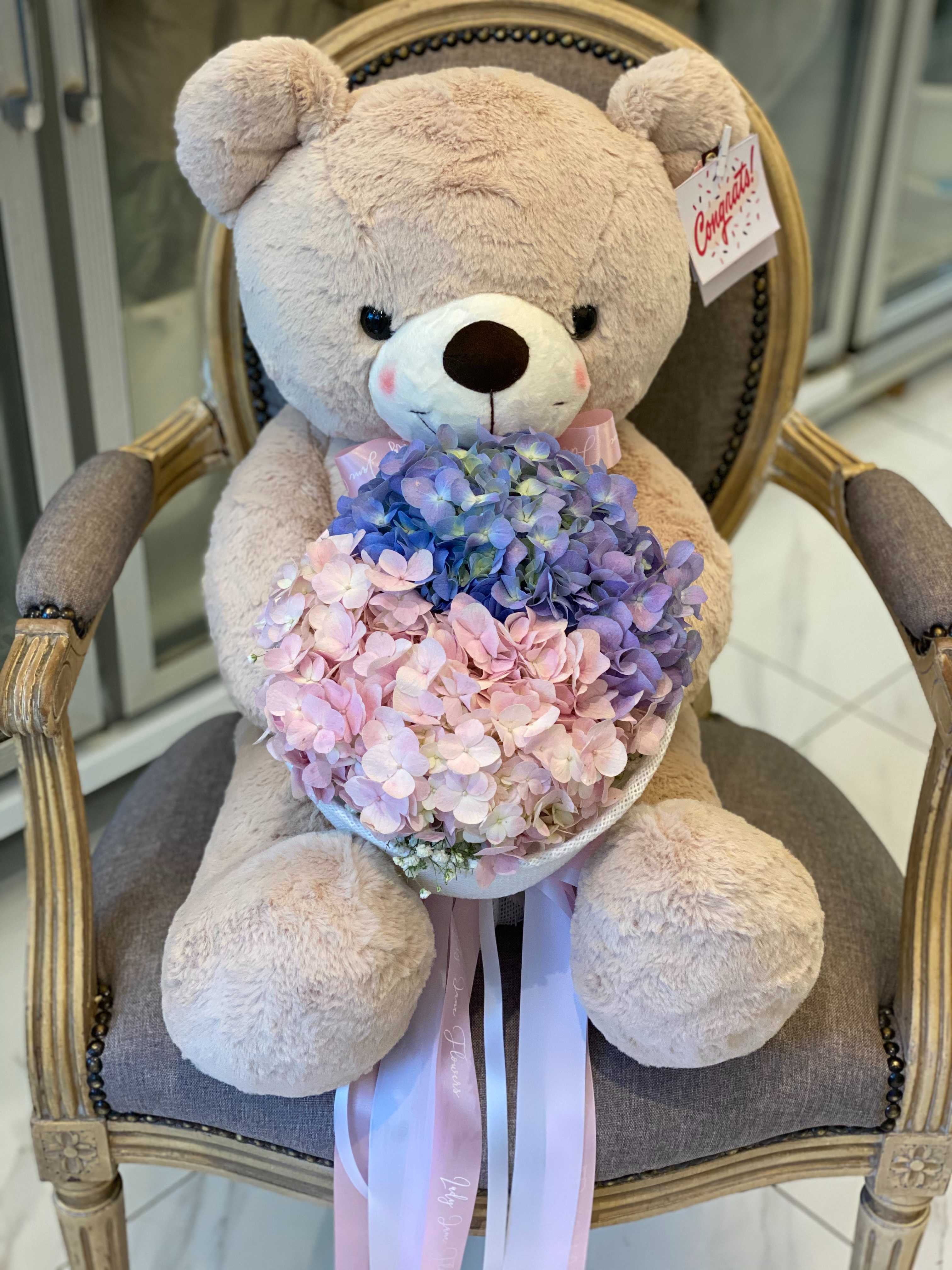 teddy 70