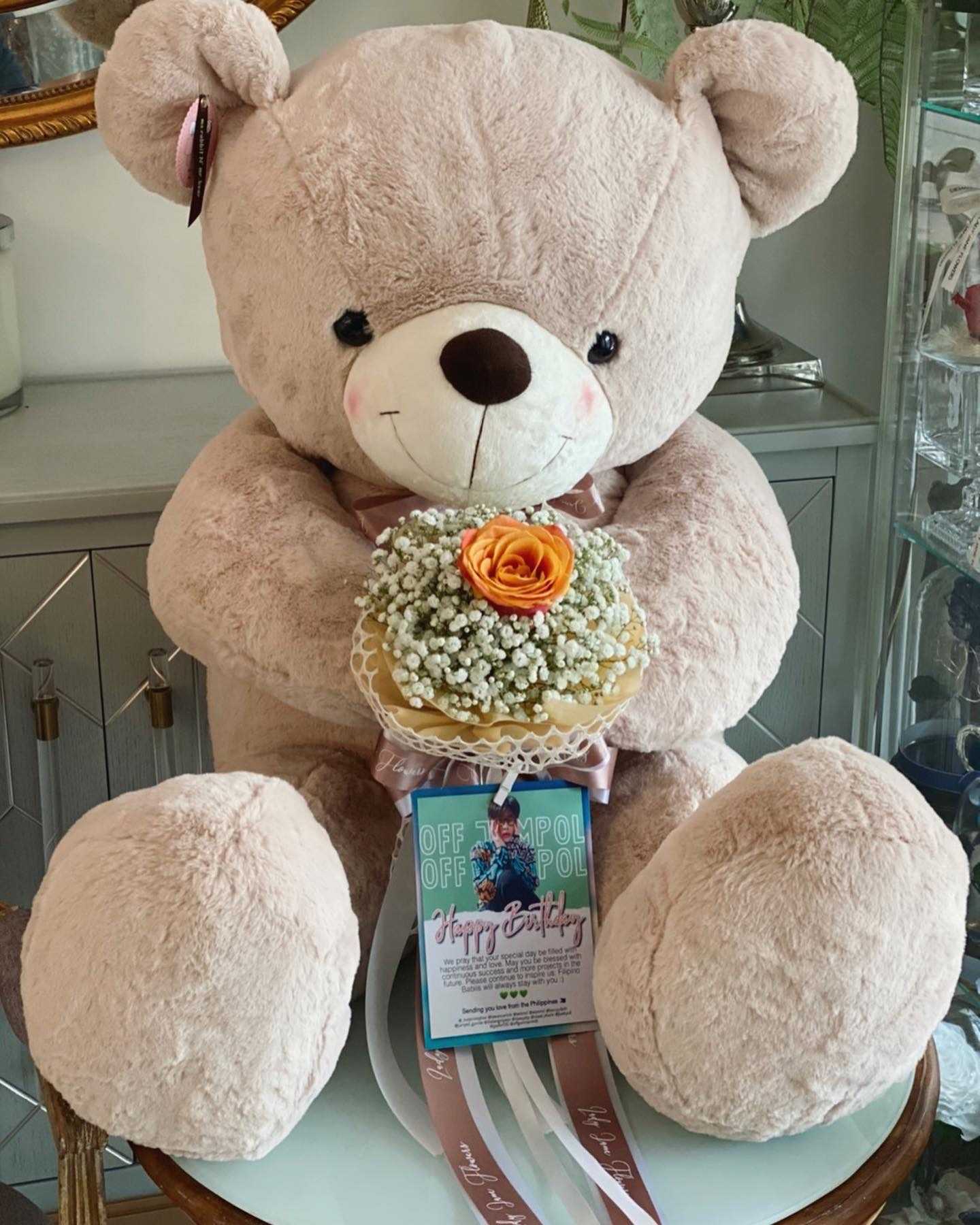 teddy 120