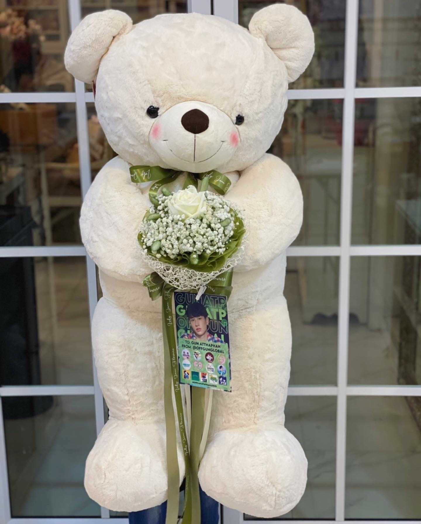 teddy 120