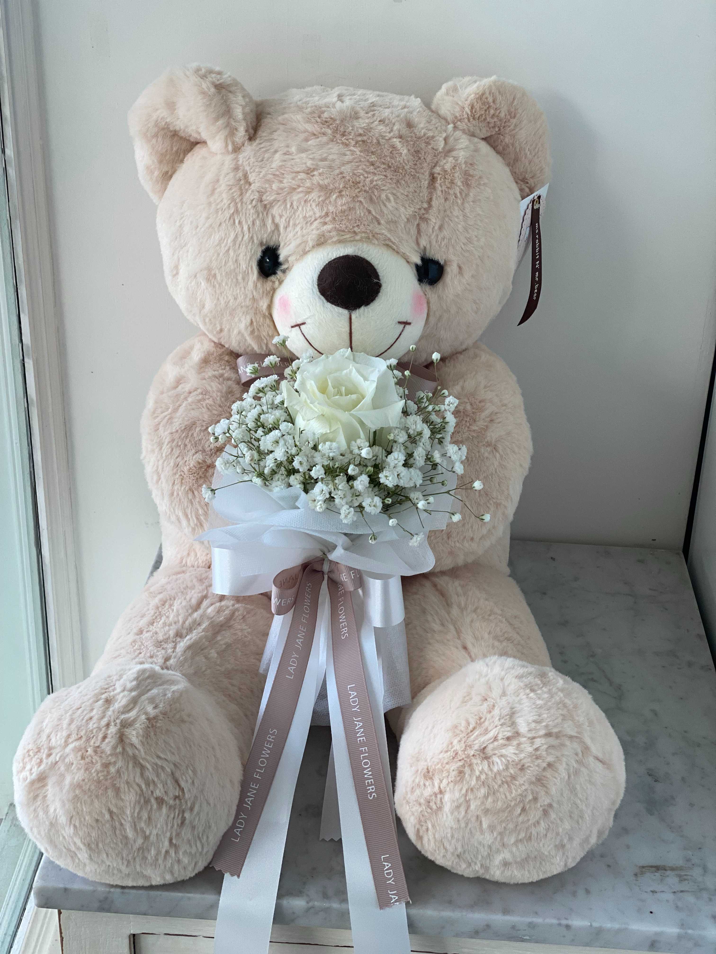 teddy 50