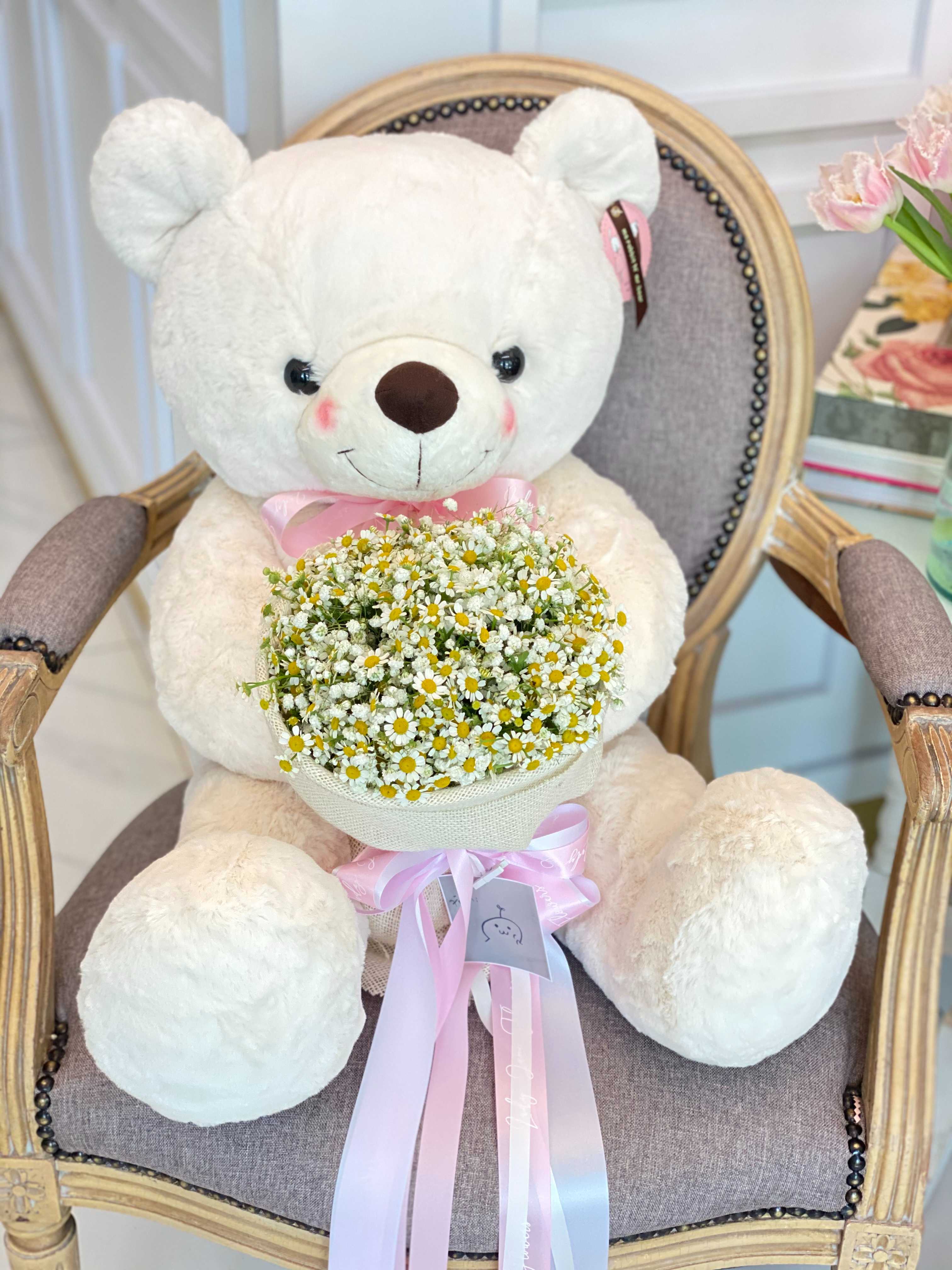 teddy70