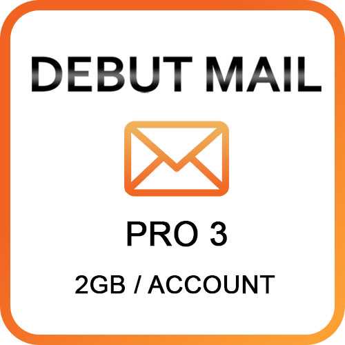 Debut Mail Pro 3 ( 2 GB/Account  )