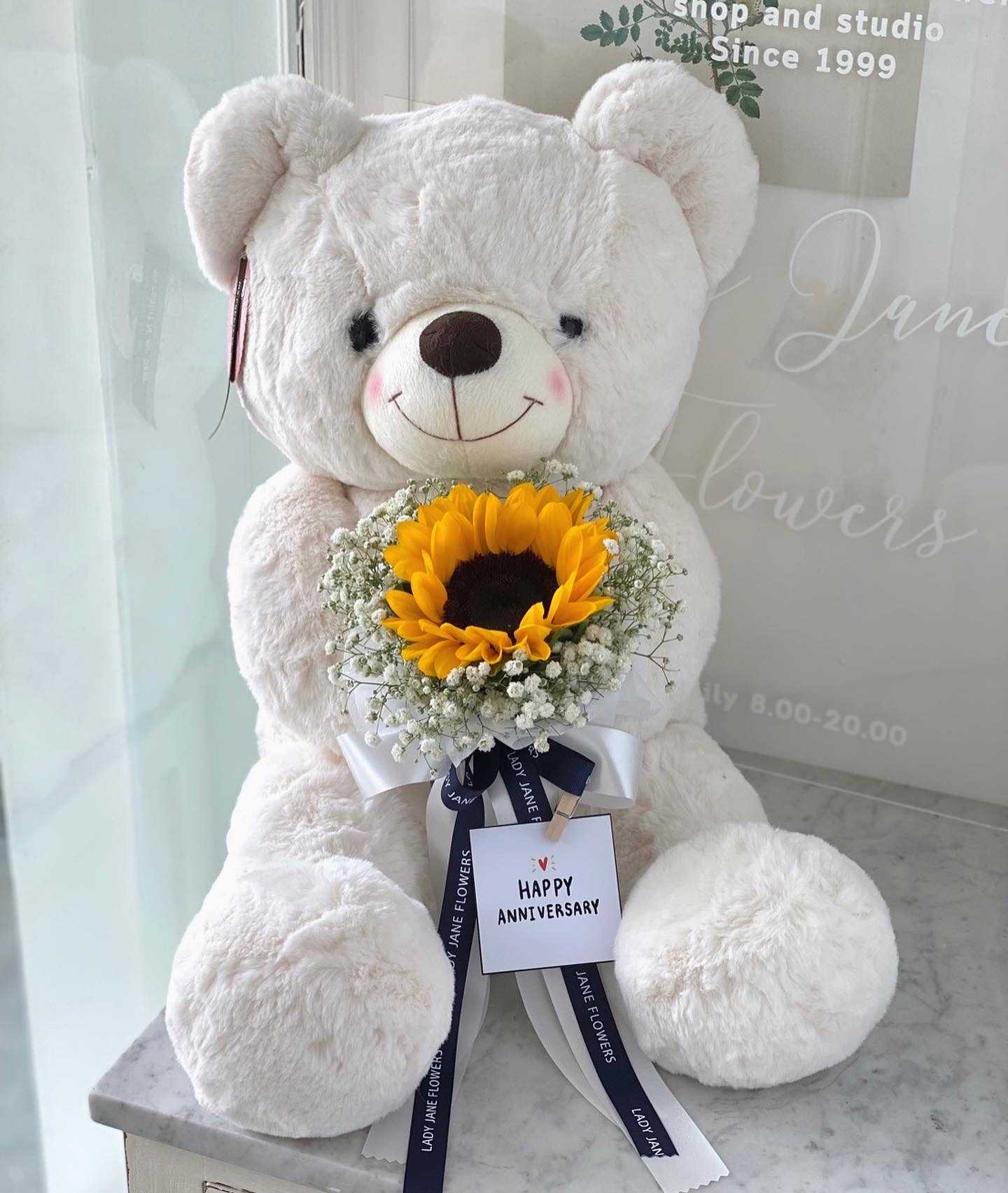 teddy 50 cm