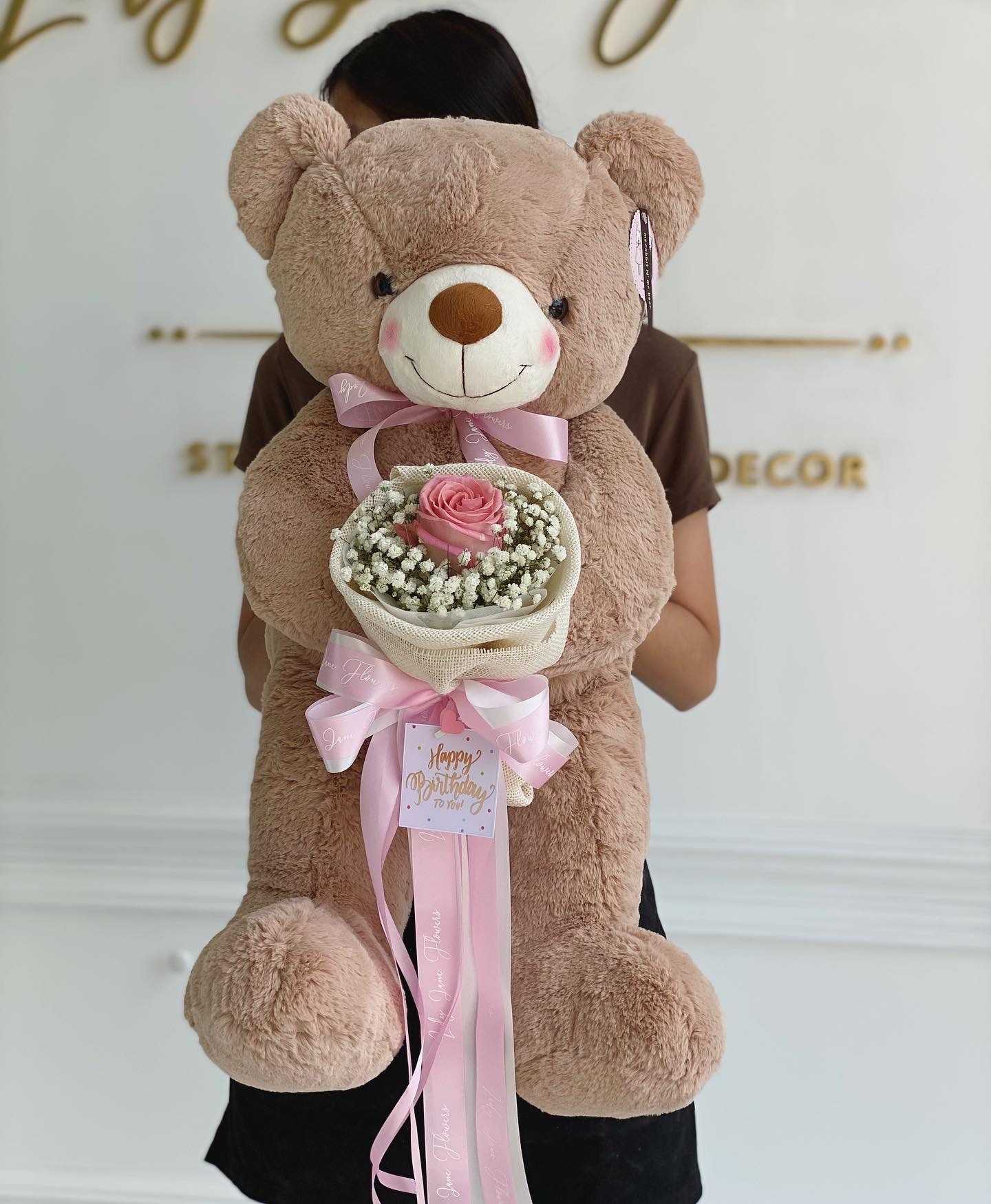 teddy 70cm