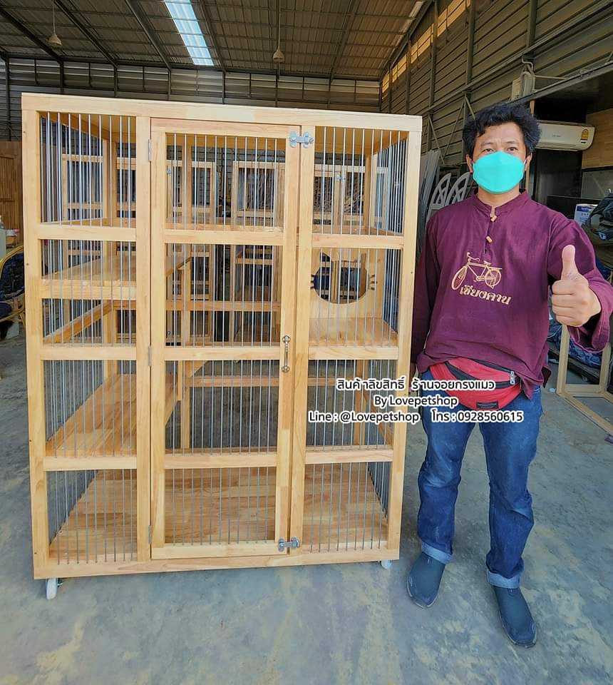 กรงแมว - ทั่วไป