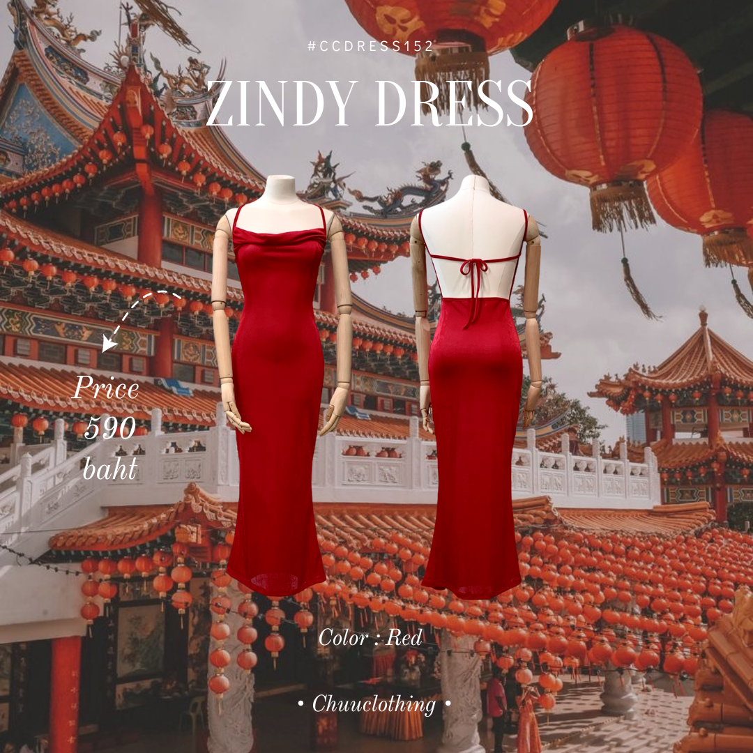 ZINDY DRESS🧧