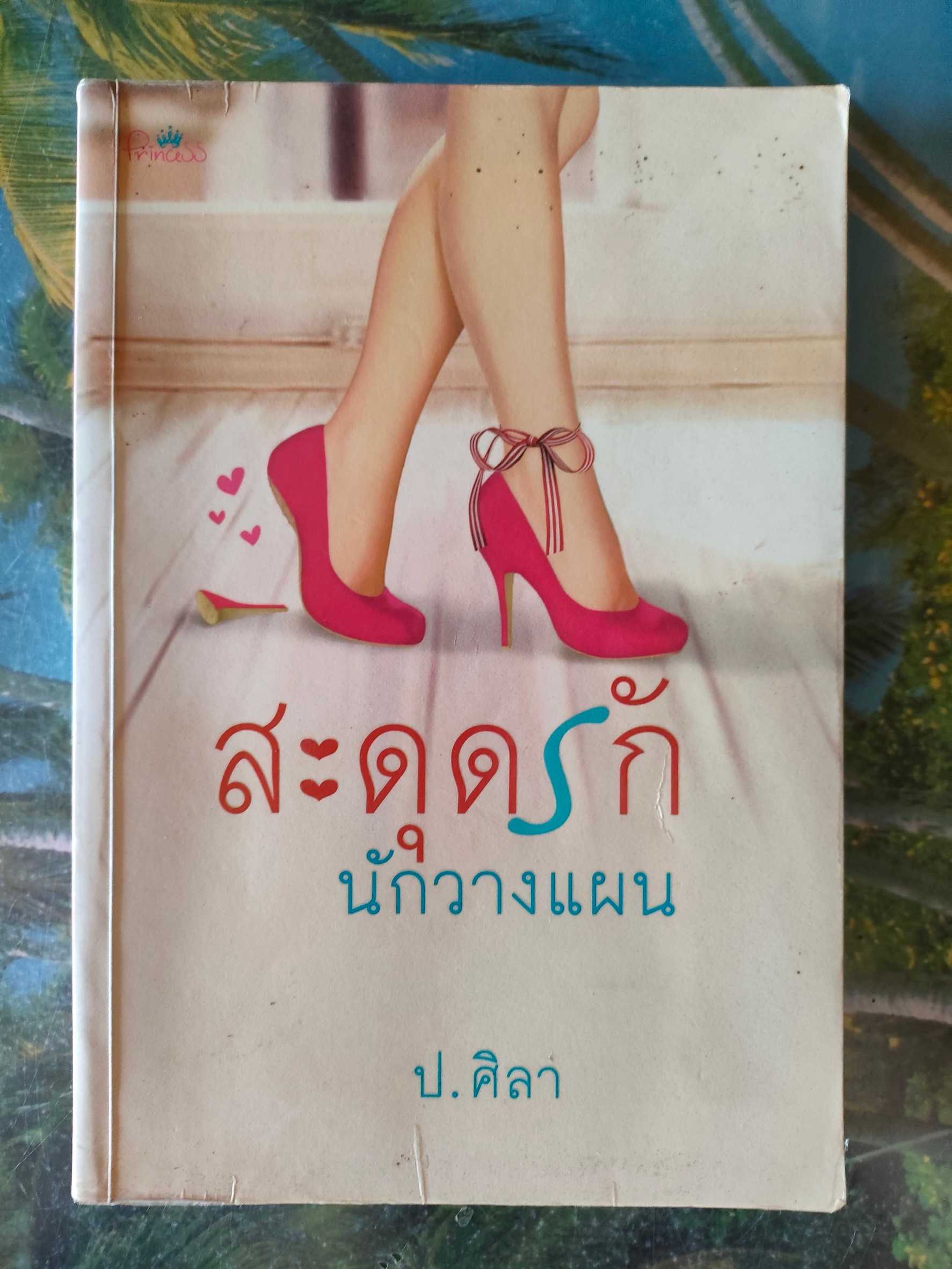 สะดุดรักนักวางแผน สภาพเช่า 60 บาท