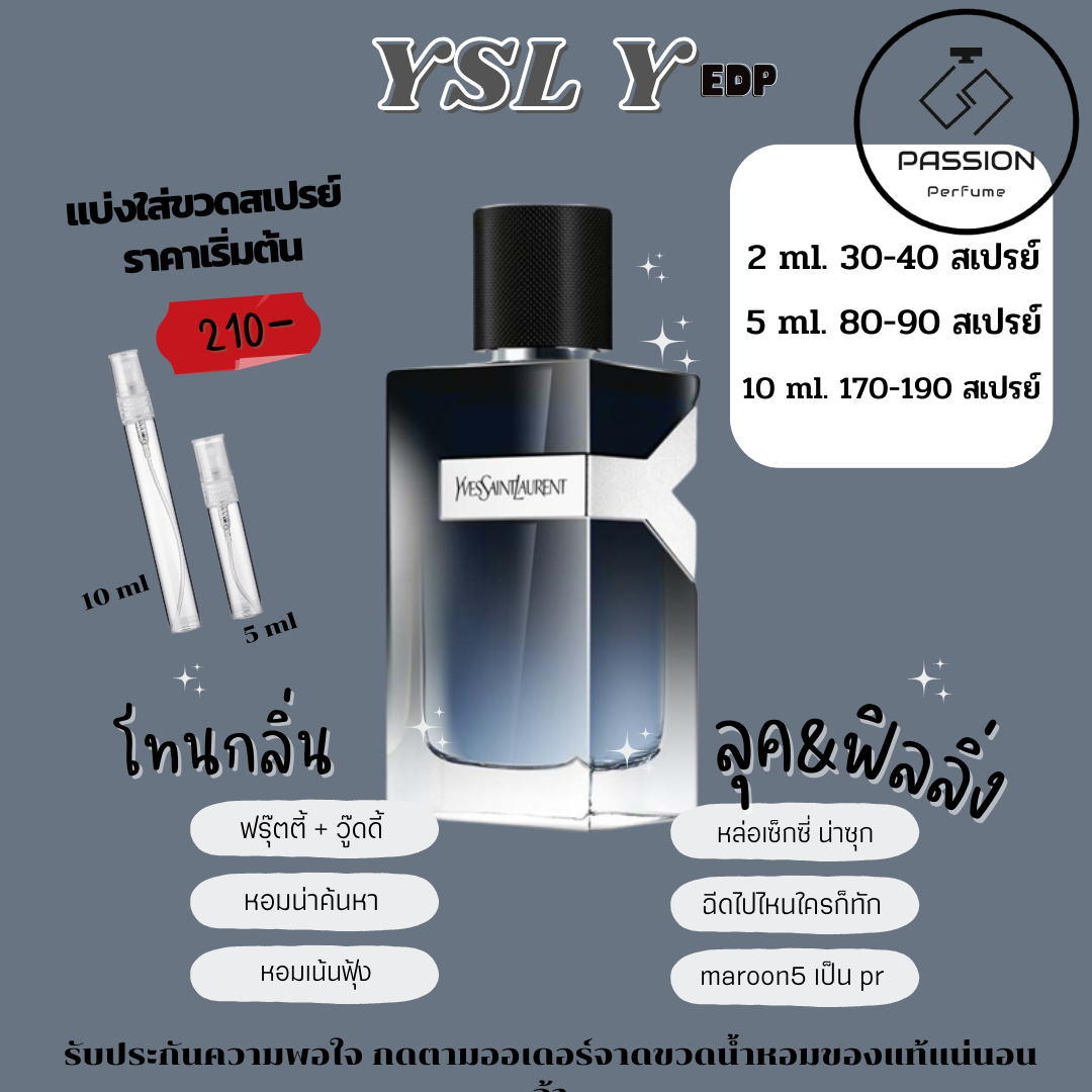 Ysl Y 
