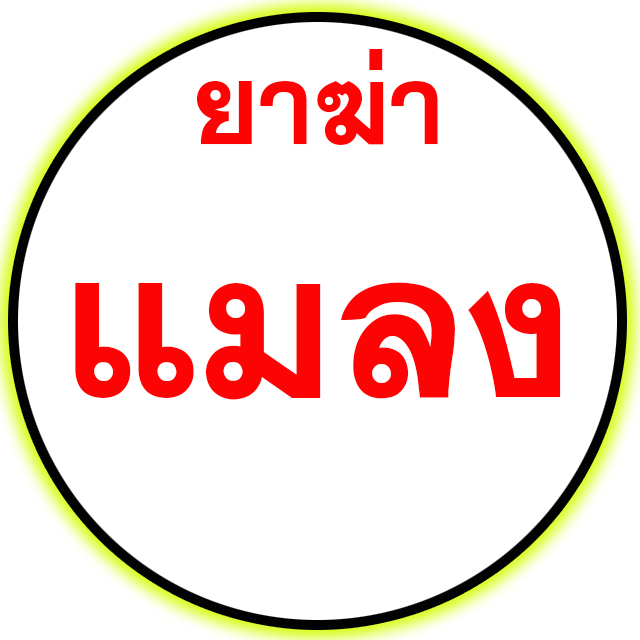 An Image