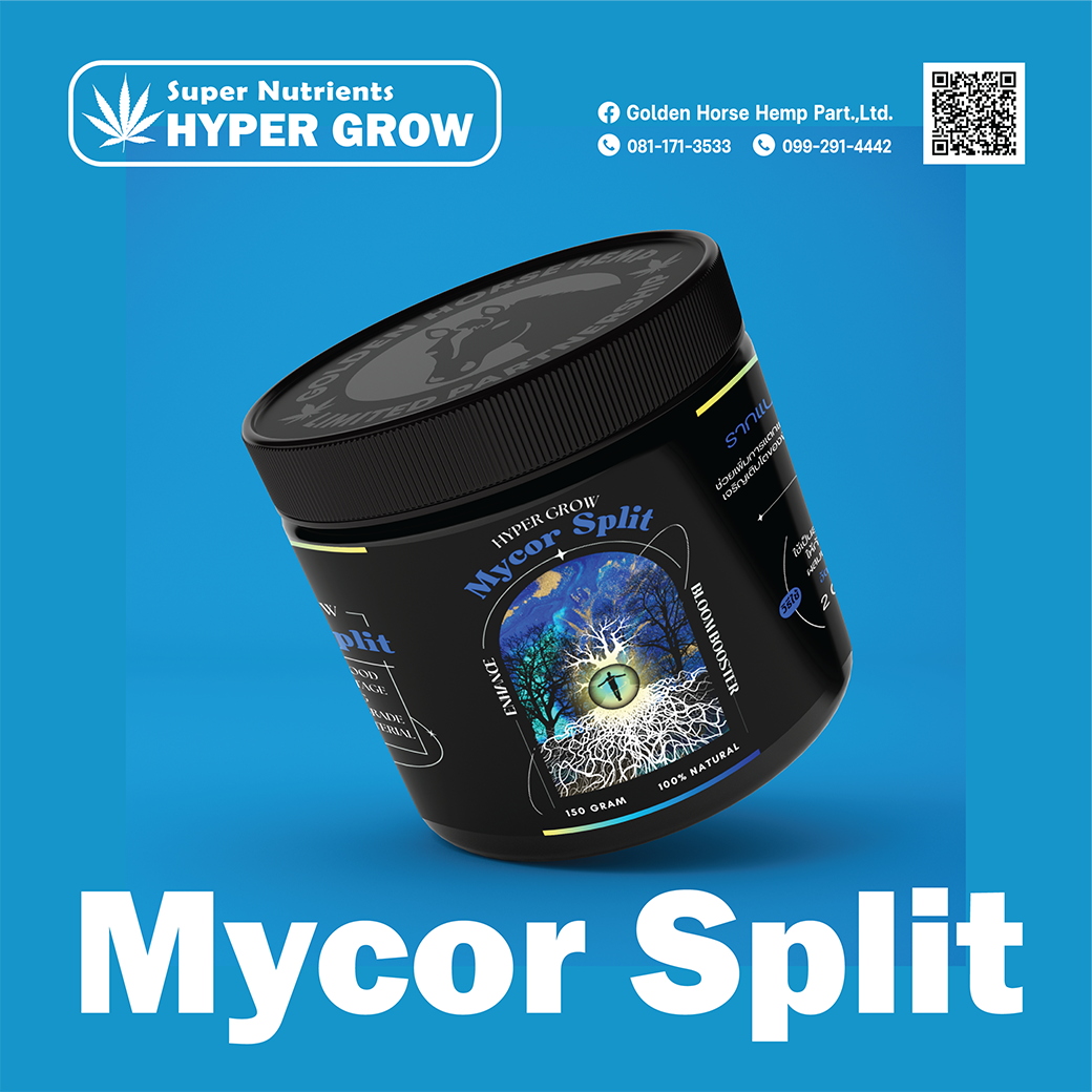 Mycor Split