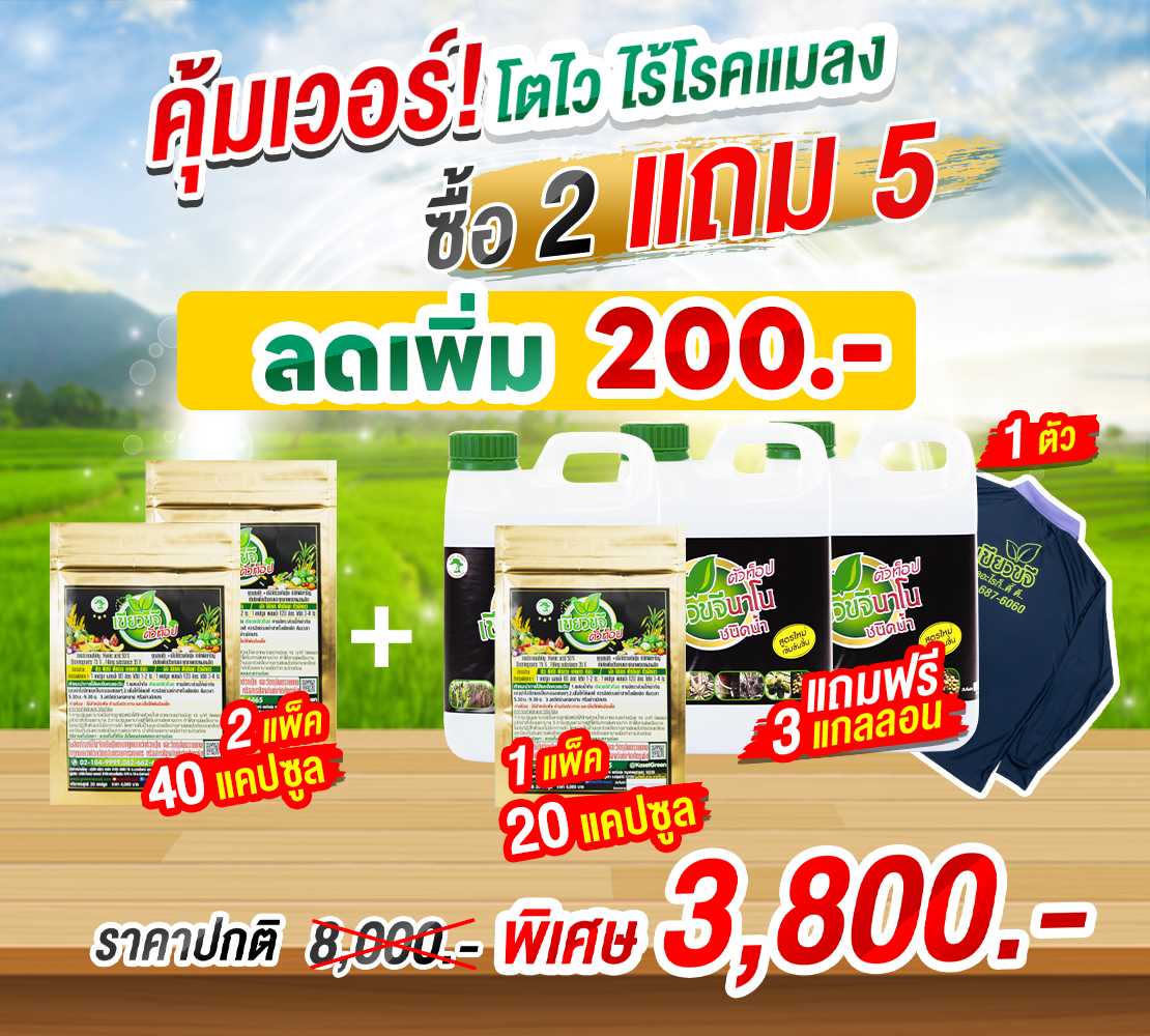 ซื้อ 2 แถม 5 เขียวขจีตัวท็อป  #เกษตรอินทรีย์ #อาหารเสริมพืช #อาหารพืชทางใบ