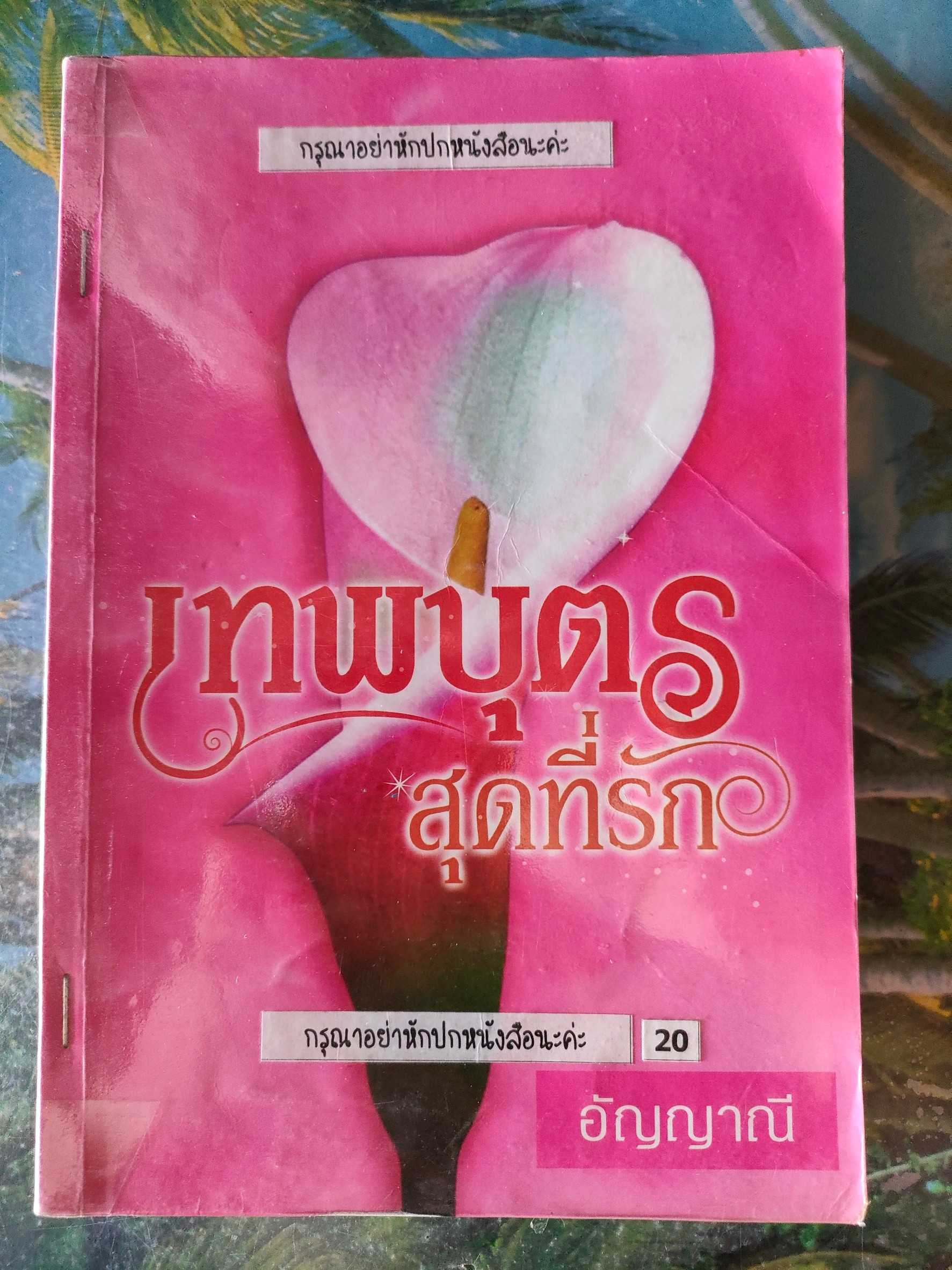 เทพบุตรสุดที่รัก สภาพเช่า 60 บาท
