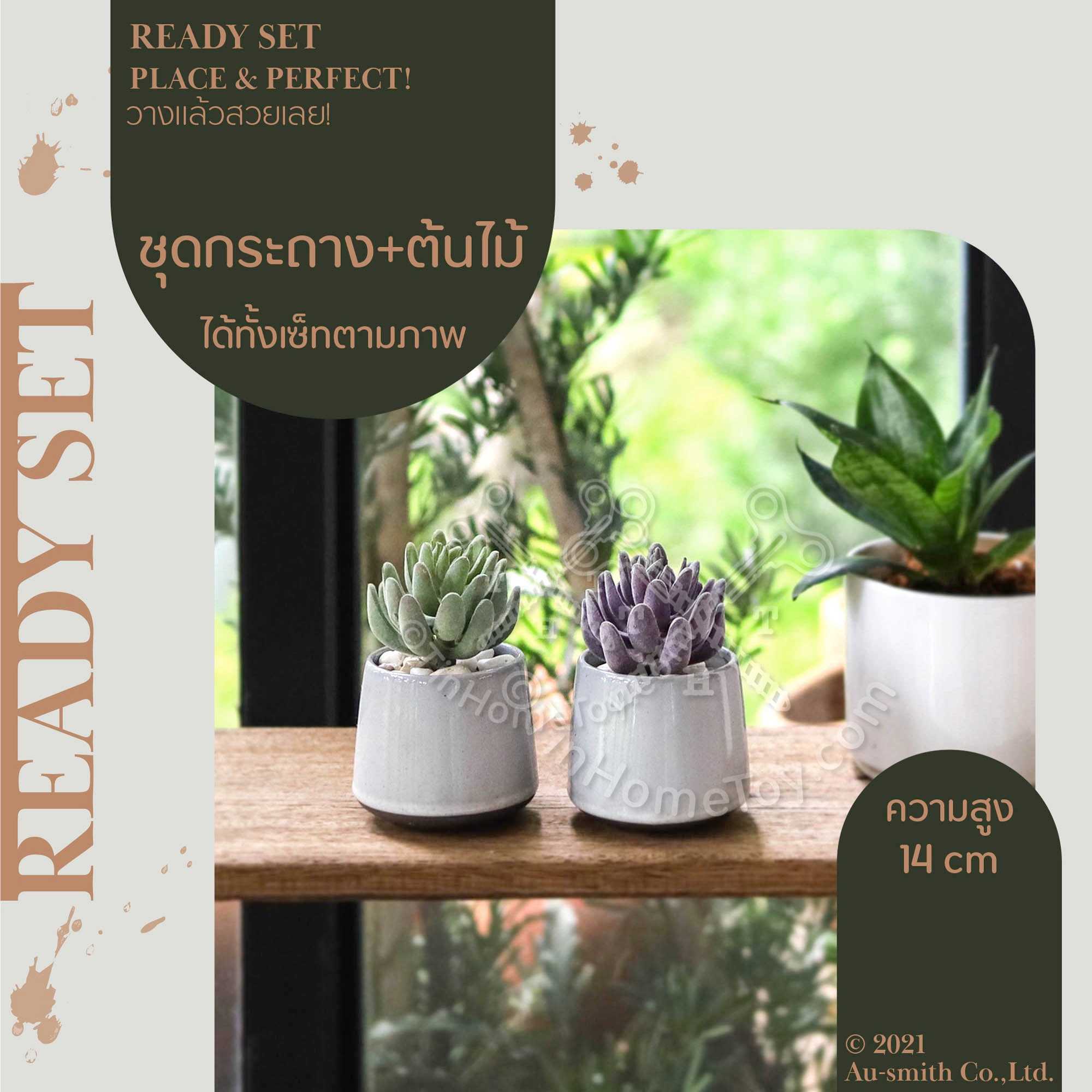 เกรย์ย่าเซ็ทกระถางพร้อมโชว์ | Greya Set
