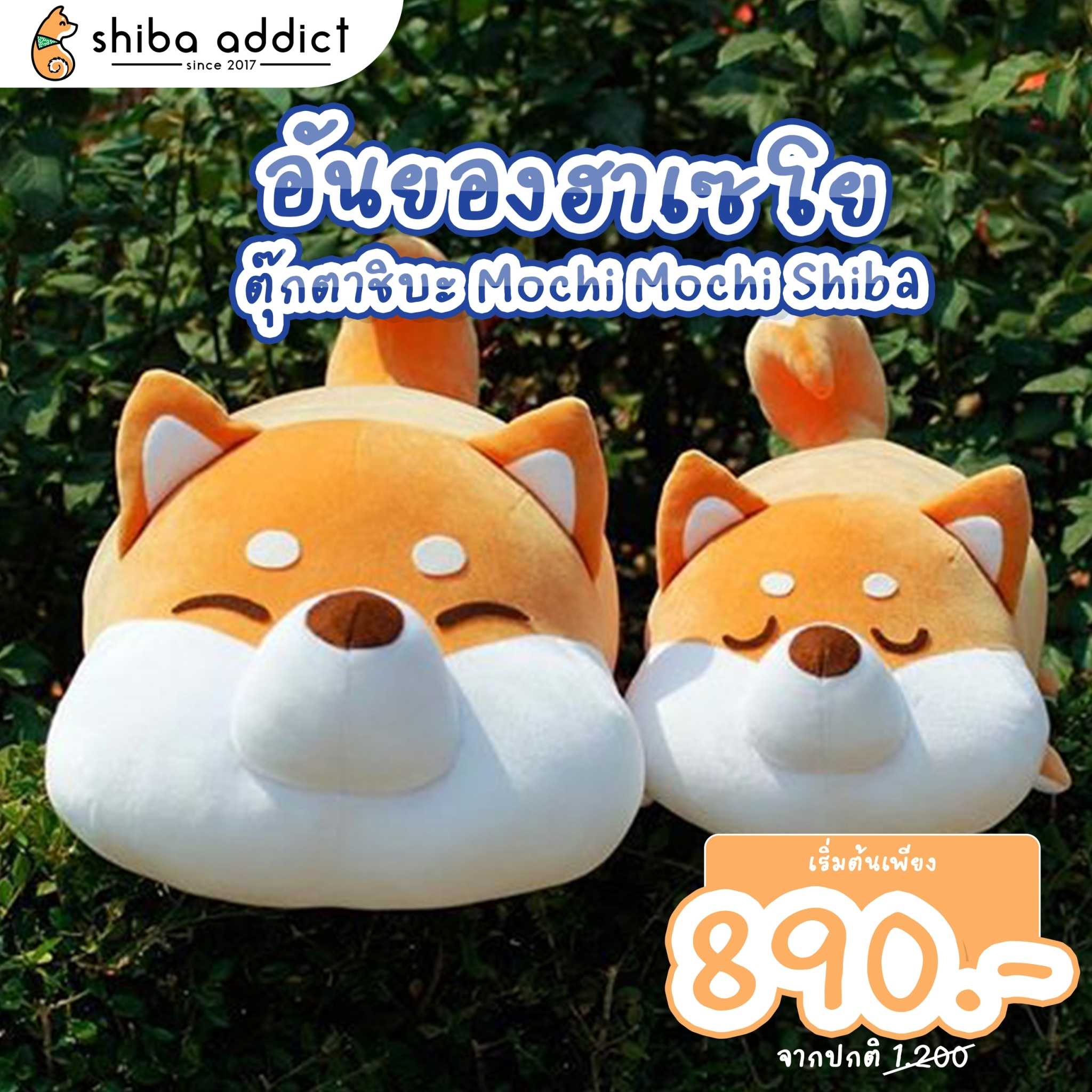 ตุ๊กตาชิบะ- Mochi Mochi Shiba สุดคิ้วท์