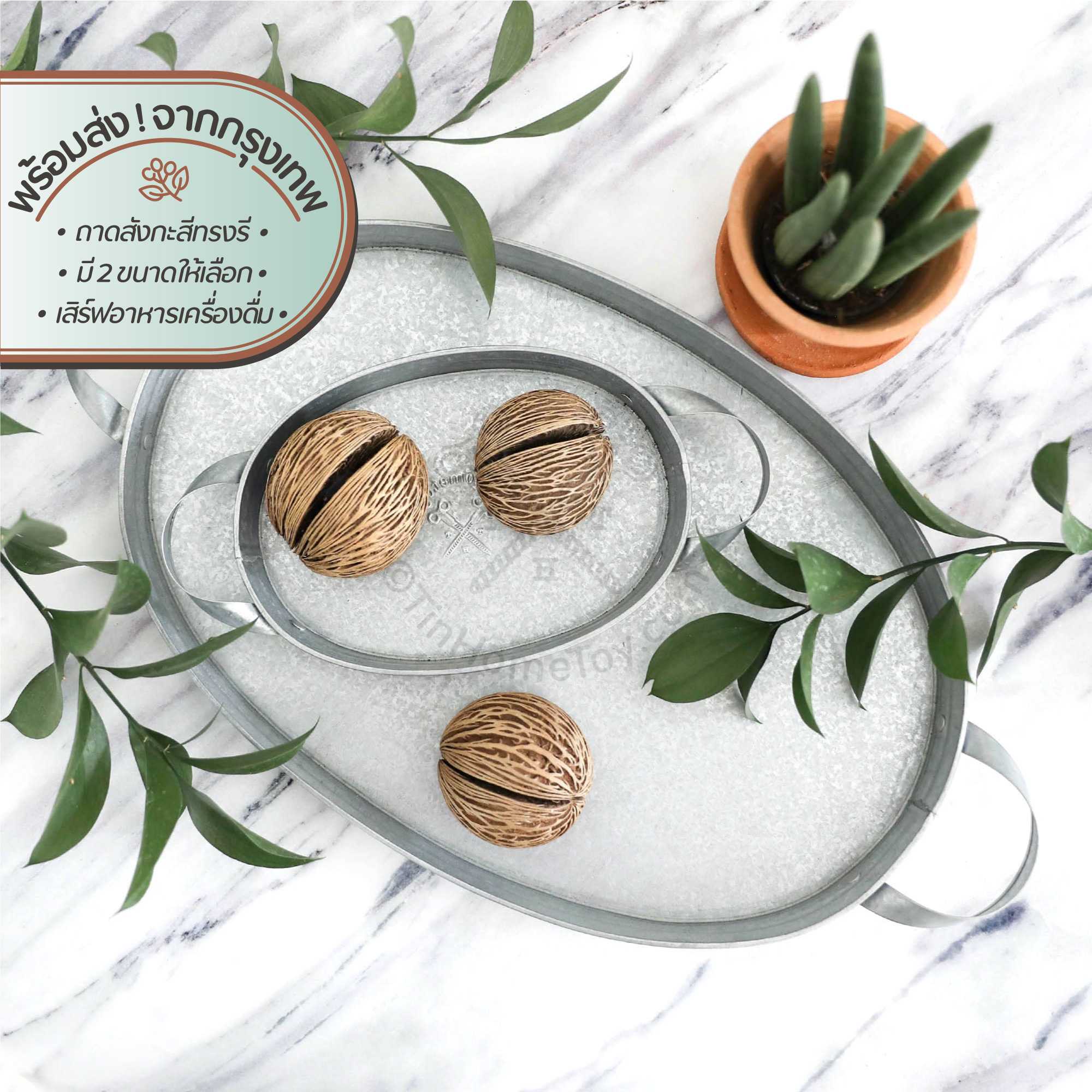 โอเวิลเทรย์ ถาดทรงรี | Oval Tray