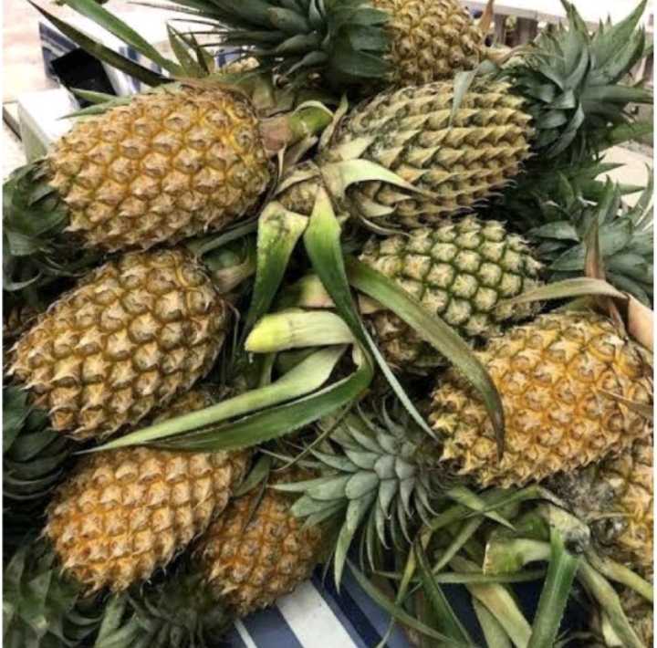 ผักสับปะรด