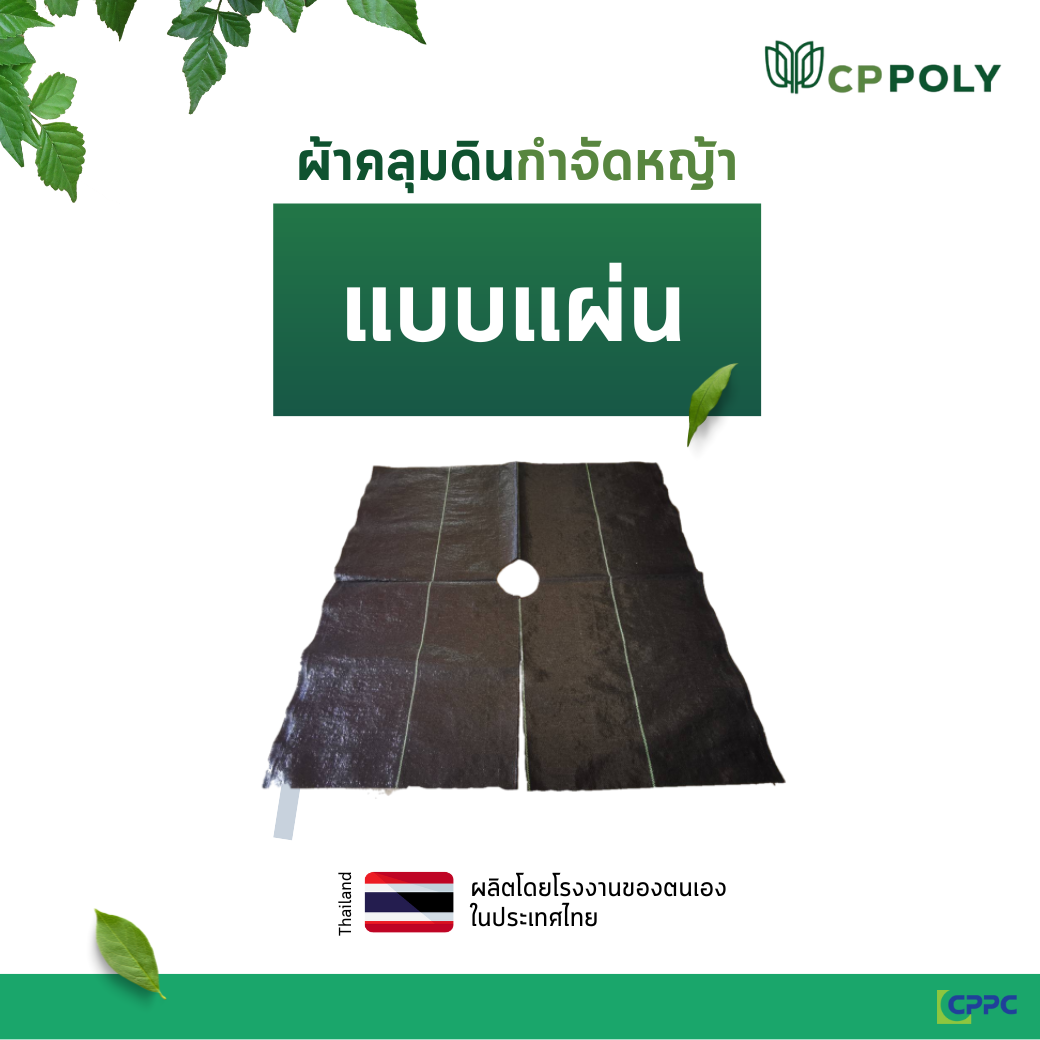 ผ้าคลุมดิน ป้องกันวัชพืช แบบแผ่น เจาะรู น้ำซึมผ่านได้ ผ้าคลุมหญ้า พลาสติกคลุมดิน พลาสติกคลุมหญ้า