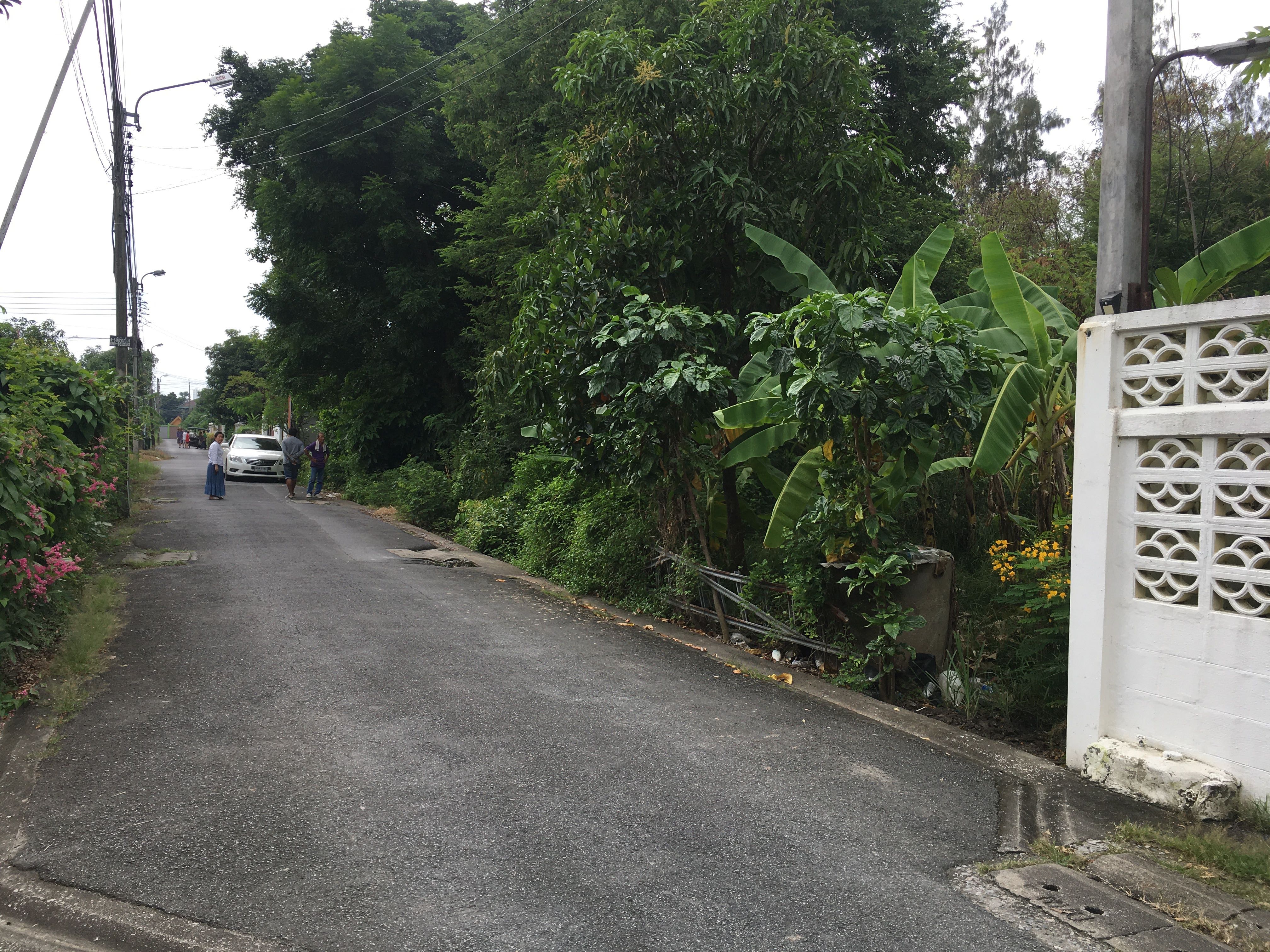 ขายที่ดิน กทม 100 ตร วา รามอินทรา กม8 ถนนคู้บอน