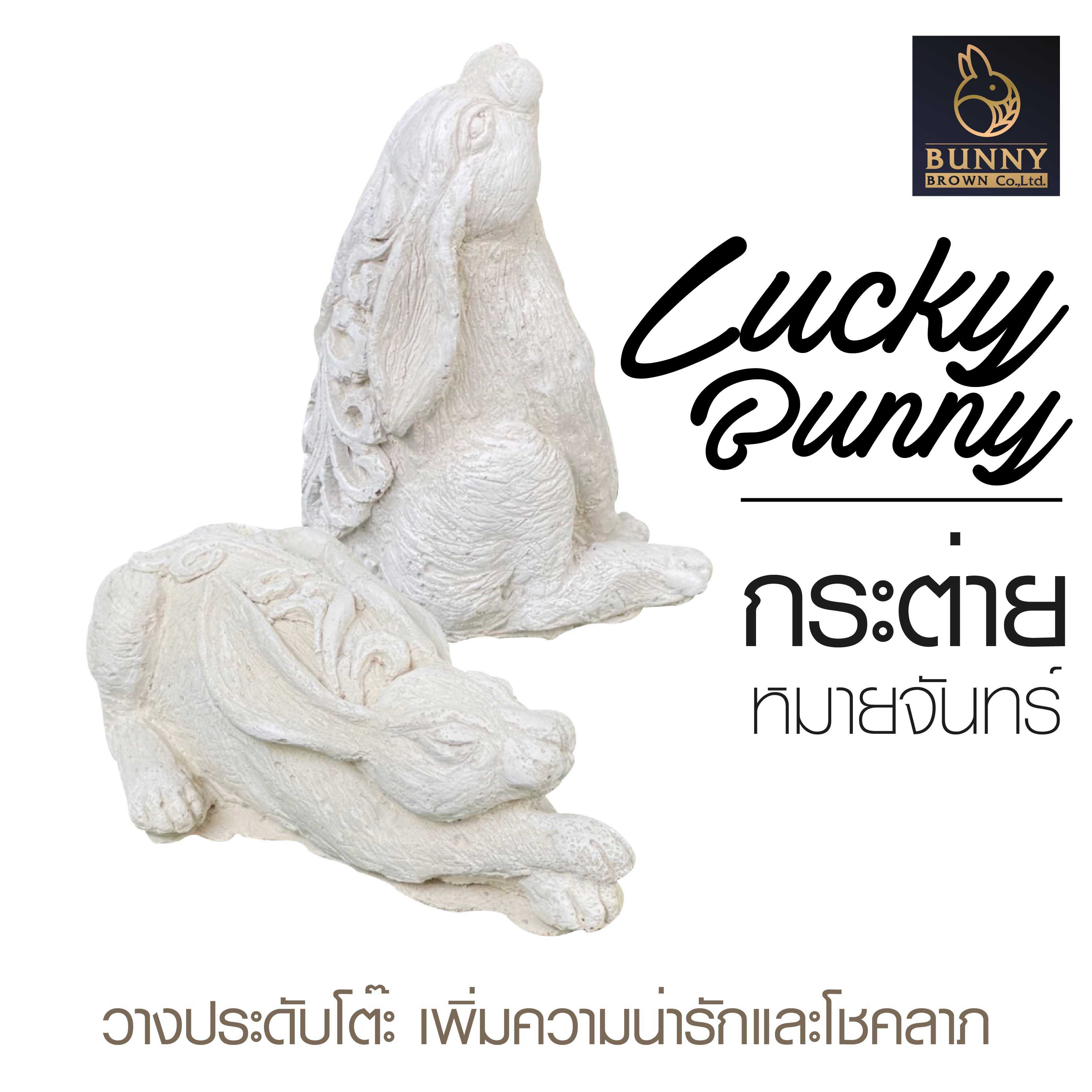 กระต่ายหมายจันทร์ LUCKY BUNNY (คู่)  จัดสวน ประดับสวน แต่งสวน ใส่ต้นไม้  Bunny Brown