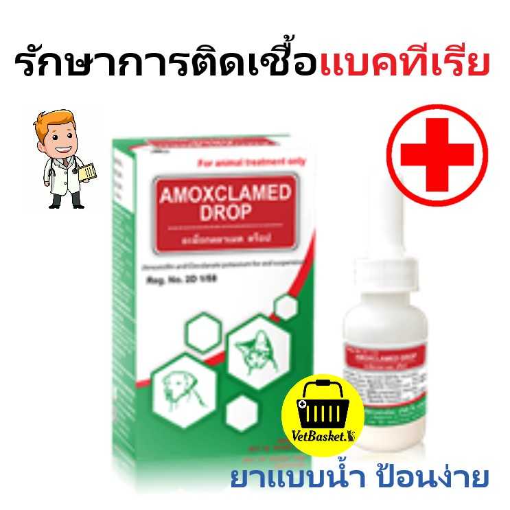 Amoxclamed (แบบน้ำ) ควบคุมการติดเชื้อแบคทีเรียในสุนัข และแมว (1 ขวด 15 มล.)