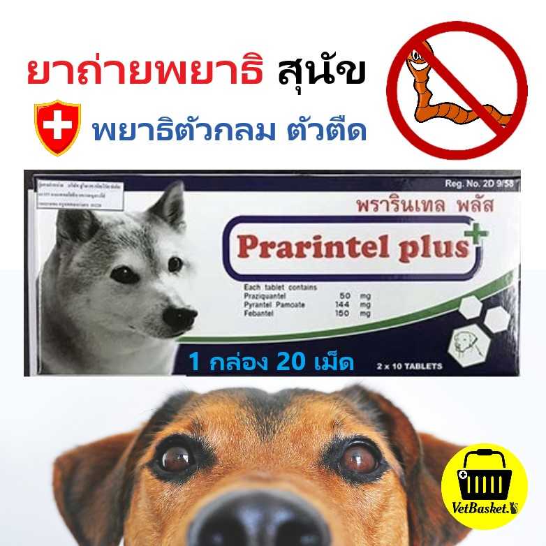 Prarintel ยาถ่ายพยาธิ ตัวกลม ตัวตืด สุนัข