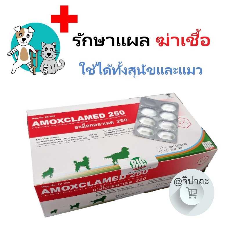 Amoxclamed ควบคุมการติดเชื้อ bacteria สำหรับสุนัขและแมว (7 เม็ด ต่อแผง)