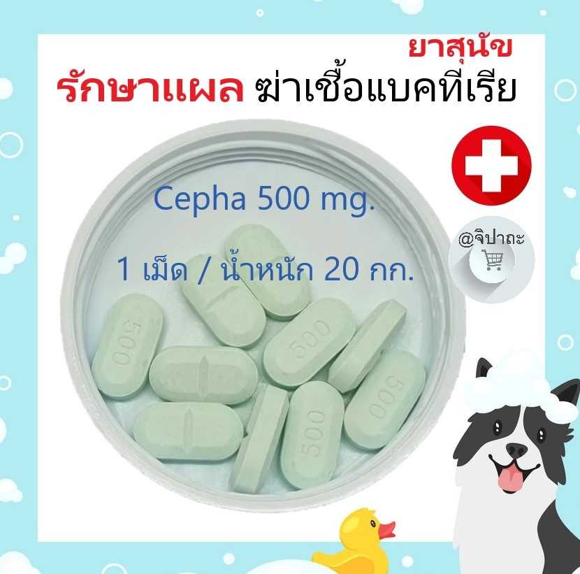 Cepha 500 รักษาแผลอักเสบ ติดเชื้อ เป็นหนอง ผิวหนังอักเสบจากแบคทีเรีย สำหรับสุนัข