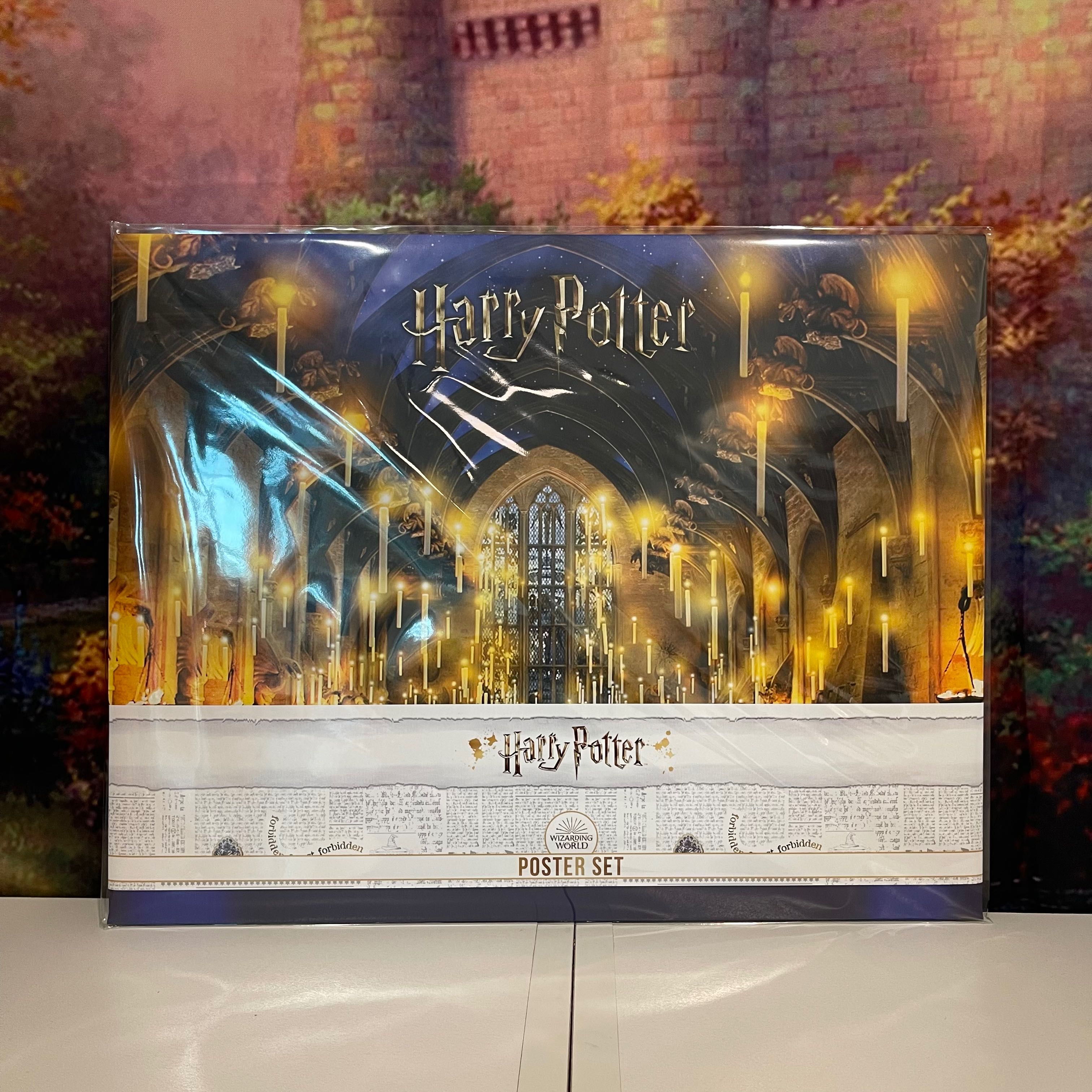 เซ็ตโปสเตอร์ Harry Potter - The Sorcerer's Stone