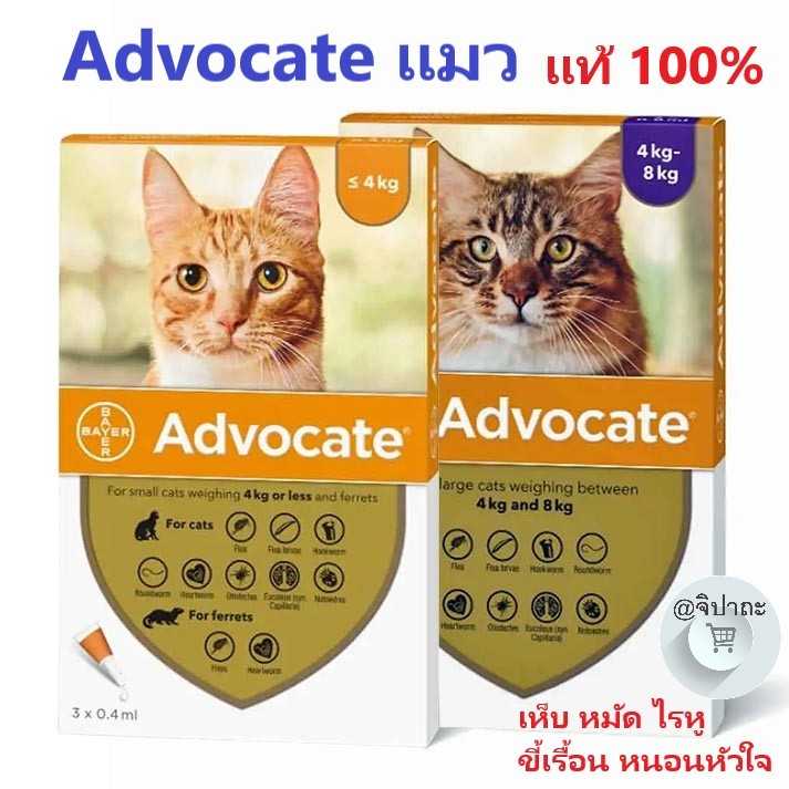 Advocate ผลิตภัณฑ์หยอดหลังแมว กำจัดเห็บ หมัด หนอนหัวใจ ไรหู ขี้เรื้อน