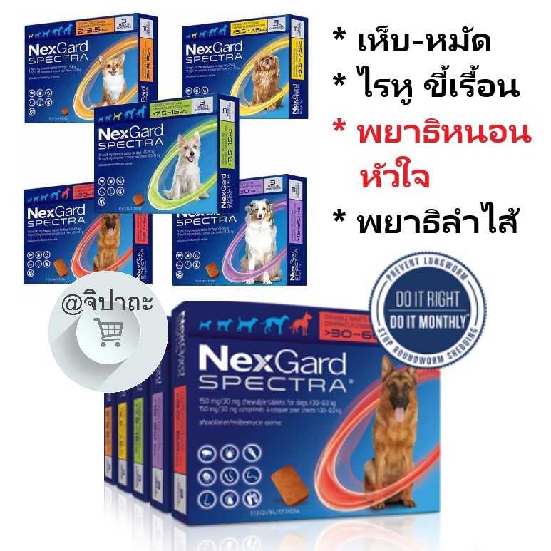 Nexgard Spectra กำจัดเห็บหมัด หนอนหัวใจ สำหรับสุนัข ออกฤทธิ์เร็ว ได้ผลจริง