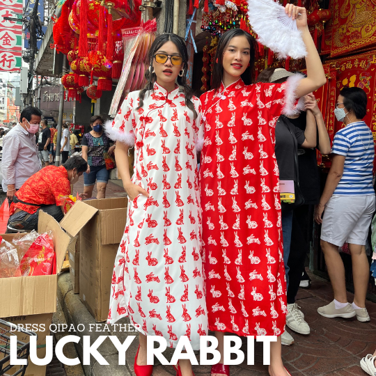 Dress Qipao ขนนก - Lucky Rabbit