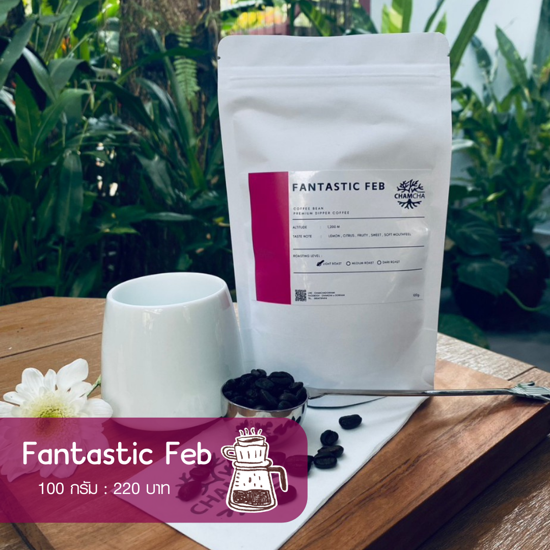 Fantastic Feb ขนาด 100กรัม