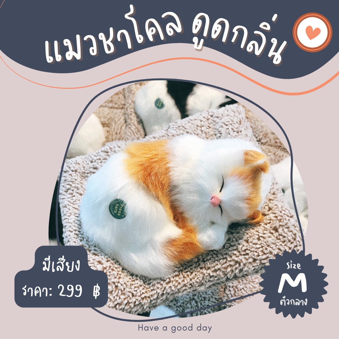 แมวนอนสีขาวน้ำตาล มีเสียง (ตัวขนาดกลาง)