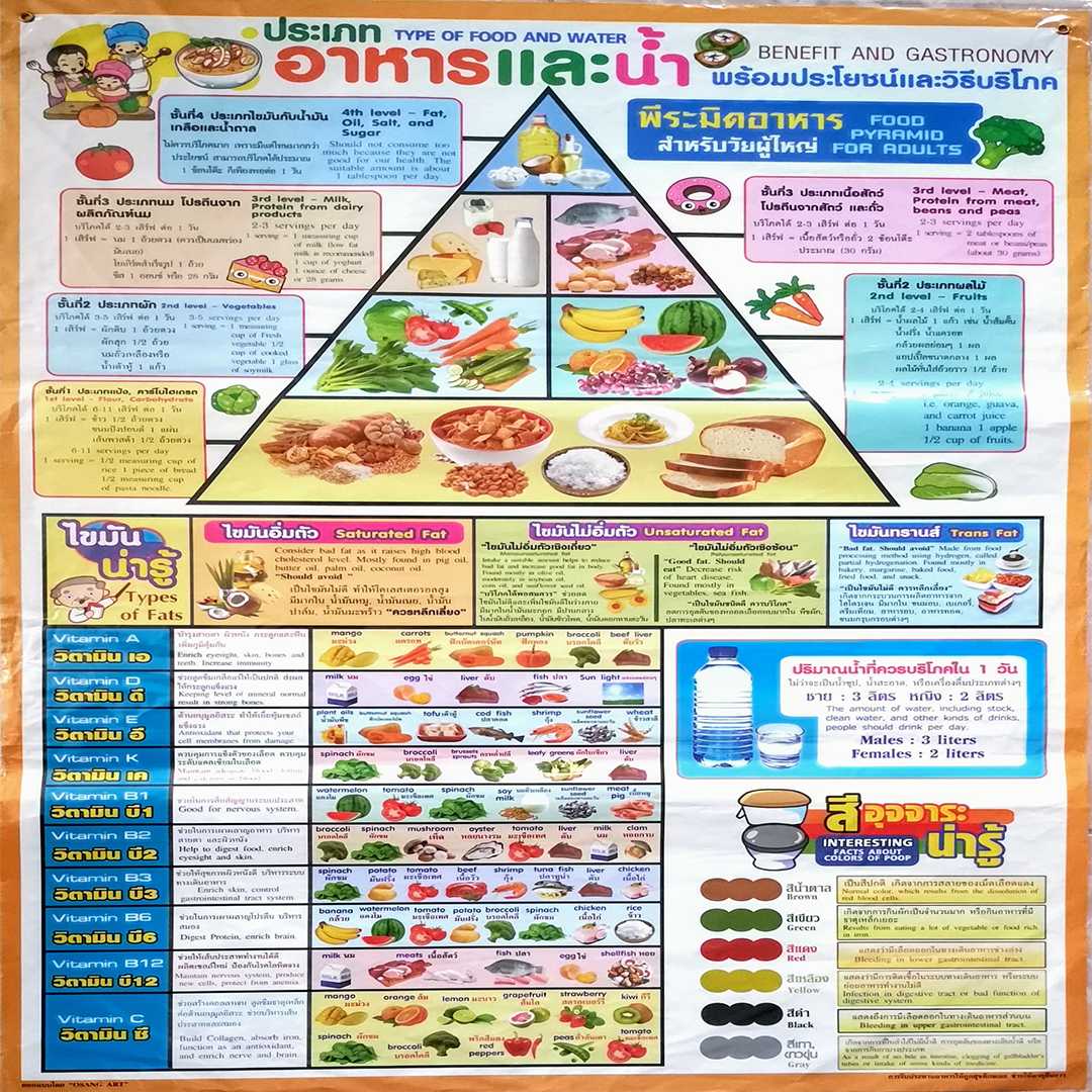 ประเภทอาหารและน้ำ Type food and water