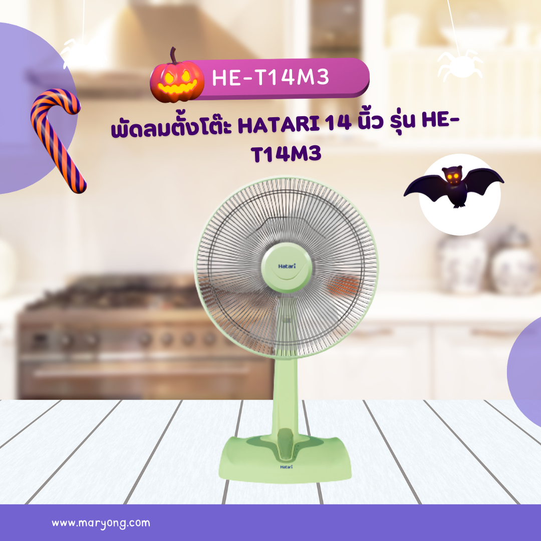 พัดลมตั้งโต๊ะ Hatari 14 นิ้ว รุ่น HE-T14M3