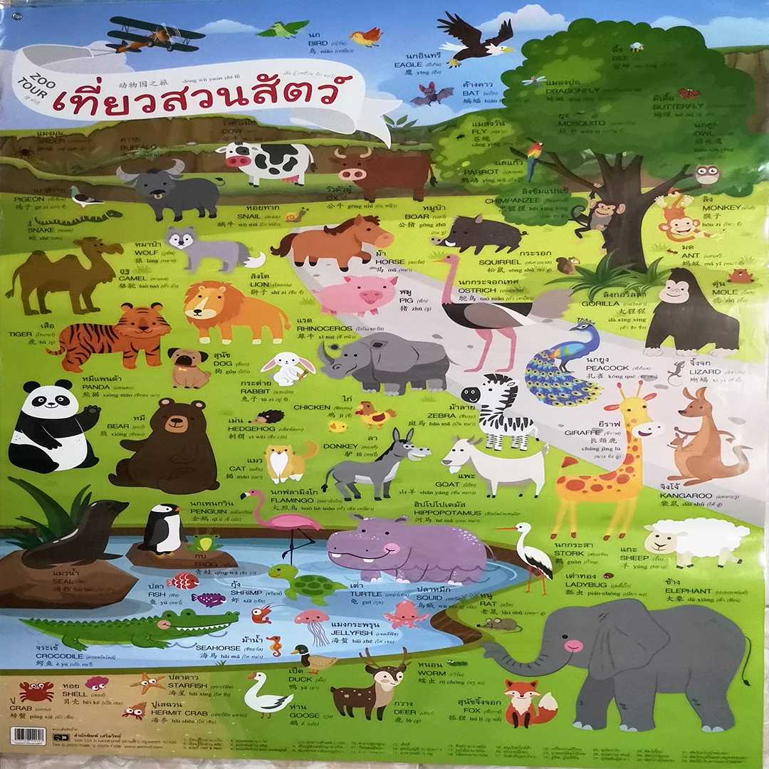 โปสเตอร์ เที่ยวสวนสัตว์ Travel Zoo