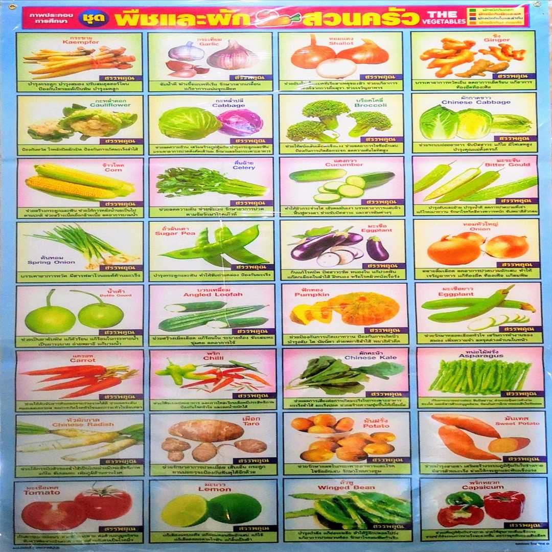 โปสเตอร์ พืชผักสวนครัว Vegetable garden